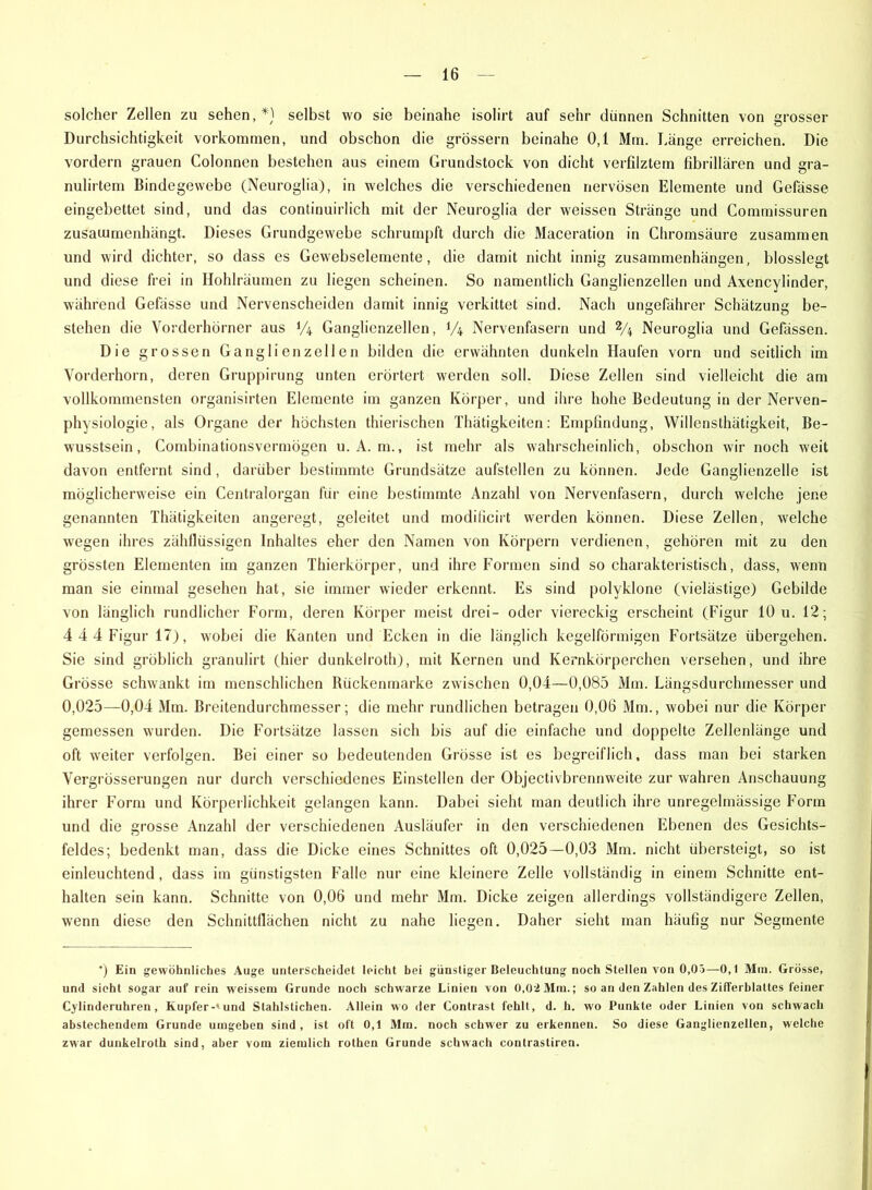 solcher Zellen zu sehen,*) selbst wo sie beinahe isolirt auf sehr dünnen Schnitten von grosser Durchsichtigkeit Vorkommen, und obschon die grossem beinahe 0,1 Mm. Lange erreichen. Die vordem grauen Colonnen bestehen aus einem Grundstock von dicht verfilztem fibrillären und gra- nulirtem Bindegewebe (Neuroglia), in welches die verschiedenen nervösen Elemente und Gefässe eingebettet sind, und das continuirlich mit der Neuroglia der weissen Stränge und Commissuren Zusammenhänge Dieses Grundgewebe schrumpft durch die Maceration in Chromsäure zusammen und wird dichter, so dass es Gewebselemente, die damit nicht innig Zusammenhängen, blosslegt und diese frei in Hohlräumen zu liegen scheinen. So namentlich Ganglienzellen und Axencylinder, während Gefässe und Nervenscheiden damit innig verkittet sind. Nach ungefährer Schätzung be- stehen die Vorderhörner aus V4 Ganglienzellen, V4 Nervenfasern und 2/4 Neuroglia und Gefässen. Die grossen Ganglienzellen bilden die erwähnten dunkeln Haufen vorn und seitlich im Vorderhorn, deren Gruppirung unten erörtert werden soll. Diese Zellen sind vielleicht die am vollkommensten organisirten Elemente im ganzen Körper, und ihre hohe Bedeutung in der Nerven- physiologie, als Organe der höchsten thierischen Thätigkeiten: Empfindung, Willensthätigkeit, Be- wusstsein, Combinationsvermögen u. A. m., ist mehr als wahrscheinlich, obschon wir noch weit davon entfernt sind, darüber bestimmte Grundsätze aufstellen zu können. Jede Ganglienzelle ist möglicherweise ein Centralorgan für eine bestimmte Anzahl von Nervenfasern, durch welche jene genannten Thätigkeiten angeregt, geleitet und modilicirt werden können. Diese Zellen, welche wegen ihres zähflüssigen Inhaltes eher den Namen von Körpern verdienen, gehören mit zu den grössten Elementen im ganzen Thierkörper, und ihre Formen sind so charakteristisch, dass, wenn man sie einmal gesehen hat, sie immer wieder erkennt. Es sind polyklone (vielästige) Gebilde von länglich rundlicher Form, deren Körper meist drei- oder viereckig erscheint (Figur 10 u. 12; 4 44 Figur 17), wobei die Kanten und Ecken in die länglich kegelförmigen Fortsätze übergehen. Sie sind gröblich granulirt (hier dunkelroth), mit Kernen und Kernkörperchen versehen, und ihre Grösse schwankt im menschlichen Rückenmarke zwischen 0,04—0,085 Mm. Längsdurchmesser und 0,025—0,04 Mm. Breitendurchmesser; die mehr rundlichen betragen 0,06 Mm., wobei nur die Körper gemessen wurden. Die Fortsätze lassen sich bis auf die einfache und doppelte Zellenlänge und oft weiter verfolgen. Bei einer so bedeutenden Grösse ist es begreiflich, dass man bei starken Vergrösserungen nur durch verschiedenes Einstellen der Objectivbrennweite zur wahren Anschauung ihrer Form und Körperlichkeit gelangen kann. Dabei sieht man deutlich ihre unregelmässige Form und die grosse Anzahl der verschiedenen Ausläufer in den verschiedenen Ebenen des Gesichts- feldes; bedenkt man, dass die Dicke eines Schnittes oft 0,025—0,03 Mm. nicht übersteigt, so ist einleuchtend, dass im günstigsten Falle nur eine kleinere Zelle vollständig in einem Schnitte ent- halten sein kann. Schnitte von 0,06 und mehr Mm. Dicke zeigen allerdings vollständigere Zellen, wenn diese den Schnittflächen nicht zu nahe liegen. Daher sieht man häufig nur Segmente *) Ein gewöhnliches Auge unterscheidet leicht bei günstiger Beleuchtung noch Stellen von 0,05—0,1 Min. Grösse, und sieht sogar auf rein weissera Grunde noch schwarze Linien von 0,02 Mm.; so an den Zahlen des Zifferblattes feiner Cylinderuhren , Kupfer-'und Stahlstichen. Allein wo der Contrast fehlt, d. h. wo Punkte oder Linien von schwach abstechendem Grunde umgeben sind, ist oft 0,1 Mm. noch schwer zu erkennen. So diese Ganglienzellen, welche zwar dunkelroth sind, aber vom ziemlich rothen Grunde schwach conlrastiren.