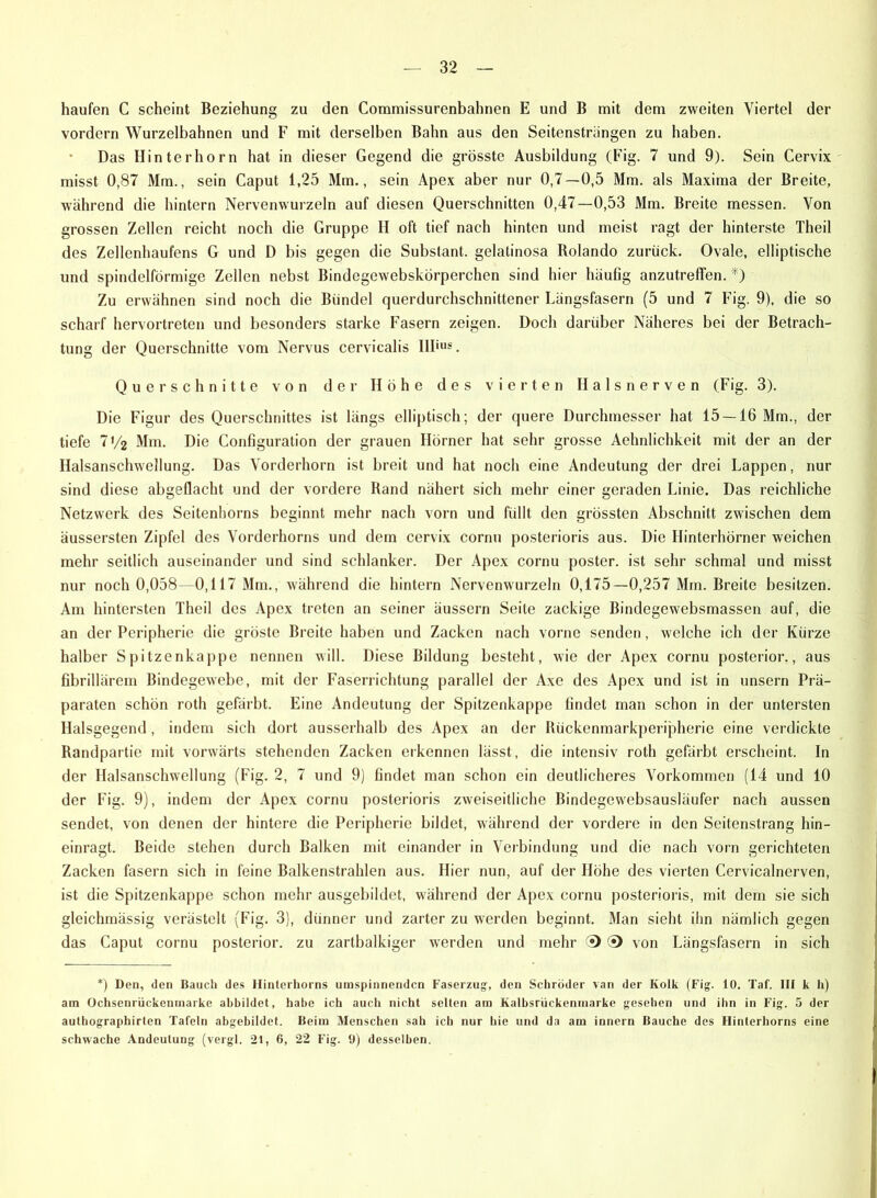 häufen C scheint Beziehung zu den Commissurenbahnen E und B mit dem zweiten Viertel der vordem Wurzelbahnen und F mit derselben Bahn aus den Seitensträngen zu haben. Das Hinterhorn hat in dieser Gegend die grösste Ausbildung (Fig. 7 und 9). Sein Cervix misst 0,87 Mm., sein Caput 1,25 Mm., sein Apex aber nur 0,7—0,5 Mm. als Maxima der Breite, während die hintern Nervenwurzeln auf diesen Querschnitten 0,47—0,53 Mm. Breite messen. Von grossen Zellen reicht noch die Gruppe II oft tief nach hinten und meist ragt der hinterste Theil des Zellenhaufens G und D bis gegen die Substant. gelalinosa Rolando zurück. Ovale, elliptische und spindelförmige Zellen nebst Bindegewebskörperchen sind hier häufig anzutreffen. *) Zu erwähnen sind noch die Bündel querdurchschnittener Längsfasern (5 und 7 Fig. 9), die so scharf hervortreten und besonders starke Fasern zeigen. Doch darüber Näheres bei der Betrach- tung der Querschnitte vom Nervus cervicalis IIIius. Querschnitte von der Höhe des vierten II als nerven (Fig. 3). Die Figur des Querschnittes ist längs elliptisch; der quere Durchmesser hat 15 —16 Mm., der tiefe 7'/2 Mm. Die Configuration der grauen Hörner hat sehr grosse Aehnlichkeit mit der an der Halsanschwellung. Das Vorderhorn ist breit und hat noch eine Andeutung der drei Lappen, nur sind diese abgeflacht und der vordere Rand nähert sich mehr einer geraden Linie. Das reichliche Netzwerk des Seitenhorns beginnt mehr nach vorn und füllt den grössten Abschnitt zwischen dem äussersten Zipfel des Vorderhorns und dem cervix cornu posterioris aus. Die Hinterhörner weichen mehr seitlich auseinander und sind schlanker. Der Apex cornu poster. ist sehr schmal und misst nur noch 0,058—0,117 Mm., während die hintern Nervenwurzeln 0,175—0,257 Mm. Breite besitzen. Am hintersten Theil des Apex treten an seiner äussern Seile zackige Bindegewebsmassen auf, die an der Peripherie die gröste Breite haben und Zacken nach vorne senden, welche ich der Kürze halber Spitzenkappe nennen will. Diese Bildung besteht, wie der Apex cornu posterior., aus fibrillärem Bindegewebe, mit der Faserrichtung parallel der Axe des Apex und ist in unsern Prä- paraten schön roth gefärbt. Eine Andeutung der Spitzenkappe findet man schon in der untersten Halsgegend, indem sich dort ausserhalb des Apex an der Rückenmarkperipherie eine verdickte Randpartie mit vorwärts stehenden Zacken erkennen lässt, die intensiv roth gefärbt erscheint. In der Halsanschwellung (Fig. 2, 7 und 9) findet man schon ein deutlicheres Vorkommen (14 und 10 der Fig. 9), indem der Apex cornu posterioris zweiseitliche Bindegewebsausläufer nach aussen sendet, von denen der hintere die Peripherie bildet, während der vordere in den Seitenstrang hin- einragt. Beide stehen durch Balken mit einander in Verbindung und die nach vorn gerichteten Zacken fasern sich in feine Balkenstrahlen aus. Hier nun, auf der Höhe des vierten Cervicalnerven, ist die Spitzenkappe schon mehr ausgebildet, während der Apex cornu posterioris, mit dem sie sich gleichmässig verästelt (Fig. 3), dünner und zarter zu werden beginnt. Man sieht ihn nämlich gegen das Caput cornu posterior, zu zartbalkiger werden und mehr (•) & von Längsfasern in sich *) Den, den Bauch des Hinterhorns umspinnenden Faserzug, den Schröder van der Kolk (Fig. 10. Taf. III k h) am Ochsenrückenmarke abbildet, habe ich auch nicht selten am Kalbsrückenmarke gesehen und ihn in Fig. 5 der authographirten Tafeln abgebildet. Beim Menschen sah ich nur hie und da am innern Bauche des Hinterhorns eine schwache Andeutung (vergl. 21, 6, 22 Fig. 9) desselben.