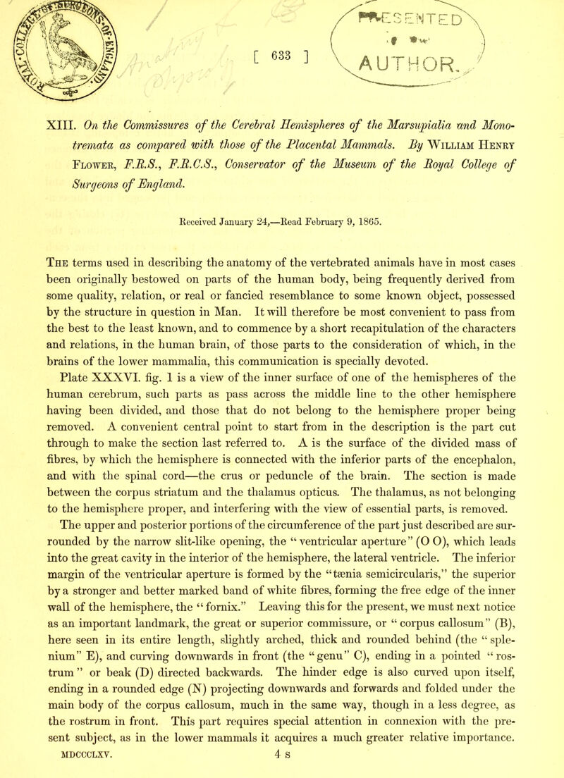 XIII. On the Commissures of the Cerebral Hemispheres of the Marsupialia and Mono- tremata as compared with those of the Placental Mammals. By William Henry Flower, F.R.S., F.R.C.S., Conservator of the Museum of the Royal College of Surgeons of England. Received January 24,—Read February 9, 1865. The terms used in describing the anatomy of the vertebrated animals have in most cases been originally bestowed on parts of the human body, being frequently derived from some quality, relation, or real or fancied resemblance to some known object, possessed by the structure in question in Man. It will therefore be most convenient to pass from the best to the least known, and to commence by a short recapitulation of the characters and relations, in the human brain, of those parts to the consideration of which, in the brains of the lower mammalia, this communication is specially devoted. Plate XXXVI. fig. 1 is a view of the inner surface of one of the hemispheres of the human cerebrum, such parts as pass across the middle line to the other hemisphere having been divided, and those that do not belong to the hemisphere proper being removed. A convenient central point to start from in the description is the part cut through to make the section last referred to. A is the surface of the divided mass of fibres, by which the hemisphere is connected with the inferior parts of the encephalon, and with the spinal cord—the crus or peduncle of the brain. The section is made between the corpus striatum and the thalamus opticus. The thalamus, as not belonging to the hemisphere proper, and interfering with the view of essential parts, is removed. The upper and posterior portions of the circumference of the part just described are sur- rounded by the narrow slit-like opening, the “ventricular aperture” (O O), which leads into the great cavity in the interior of the hemisphere, the lateral ventricle. The inferior margin of the ventricular aperture is formed by the “taenia semicircularis,” the superior by a stronger and better marked band of white fibres, forming the free edge of the inner wall of the hemisphere, the “ fornix.” Leaving this for the present, we must next notice as an important landmark, the great or superior commissure, or “ corpus callosum” (B), here seen in its entire length, slightly arched, thick and rounded behind (the “ sple- nium” E), and curving downwards in front (the “genu” C), ending in a pointed “ros- trum ” or beak (D) directed backwards. The hinder edge is also curved upon itself, ending in a rounded edge (N) projecting downwards and forwards and folded under the main body of the corpus callosum, much in the same way, though in a less degree, as the rostrum in front. This part requires special attention in connexion with the pre- sent subject, as in the lower mammals it acquires a much greater relative importance.