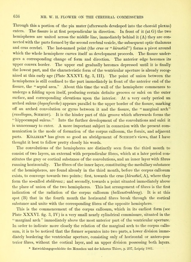 digitised image 2