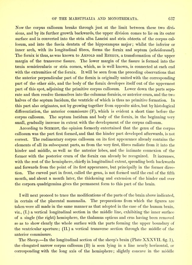 digitised image 3