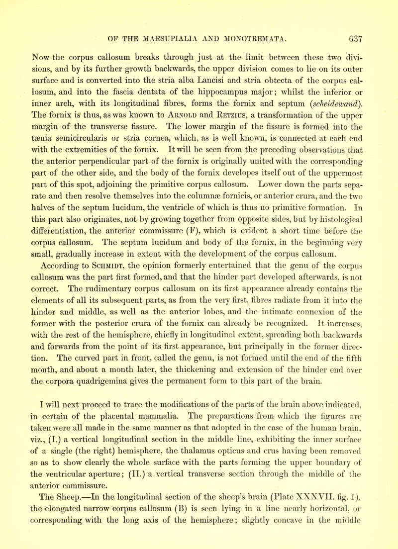 Now the corpus callosum breaks through just at the limit between these two divi- sions, and by its further growth backwards, the upper division comes to lie on its outer surface and is converted into the stria alba Lancisi and stria obtecta of the corpus cal- losum, and into the fascia dentata of the hippocampus major; whilst the inferior or inner arch, with its longitudinal fibres, forms the fornix and septum (scheulewcmd). The fornix is thus, as was known to Arnold and Retzius, a transformation of the upper margin of the transverse fissure. The lower margin of the fissure is formed into the taenia semicircularis or stria cornea, which, as is well known, is connected at each end with the extremities of the fornix. It will be seen from the preceding observations that the anterior perpendicular part of the fornix is originally united with the corresponding part of the other side, and the body of the fornix developes itself out of the uppermost part of this spot, adjoining the primitive corpus callosum. Lower down the parts sepa- rate and then resolve themselves into the columnee fornicis, or anterior crura, and the two halves of the septum lucidum, the ventricle of which is thus no primitive formation. In this part also originates, not by growing together from opposite sides, but by histological differentiation, the anterior commissure (F), which is evident a short time before the corpus callosum. The septum lucidum and body of the fornix, in the beginning very small, gradually increase in extent with the development of the corpus callosum. According to Schmidt, the opinion formerly entertained that the genu of the corpus callosum was the part first formed, and that the hinder part developed afterwards, is not correct. The rudimentary corpus callosum on its first appearance already contains the elements of all its subsequent parts, as from the very first, fibres radiate from it into the hinder and middle, as well as the anterior lobes, and the intimate connexion of the former with the posterior crura of the fornix can already be recognized. It increases, with the rest of the hemisphere, chiefly in longitudinal extent, spreading both backwards and forwards from the point of its first appearance, but principally in the former direc- tion. The curved part in front, called the genu, is not formed until the end of the fifth month, and about a month later, the thickening and extension of the hinder end over the corpora quadrigemina gives the permanent form to this part of the brain. I will next proceed to trace the modifications of the parts of the brain above indicated, in certain of the placental mammalia. The preparations from which the figures are taken were all made in the same manner as that adopted in the case of the human brain, viz., (I.) a vertical longitudinal section in the middle line, exhibiting the inner surface of a single (the right) hemisphere, the thalamus opticus and crus having been removed so as to show clearly the whole surface with the parts forming the upper boundary of the ventricular aperture; (II.) a vertical transverse section through the middle of the anterior commissure. The Sheep.—In the longitudinal section of the sheep’s brain (Plate XXXVII. fig. 1), the elongated narrow corpus callosum (B) is seen lying in a line nearly horizontal, or corresponding with the long axis of the hemisphere; slightly concave in the middle