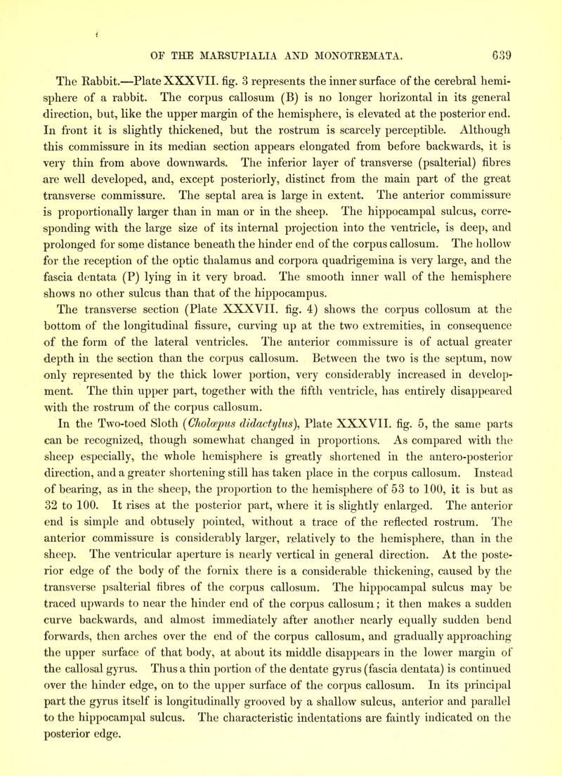 The Rabbit.—Plate XXXVII. fig. 3 represents the inner surface of the cerebral hemi- sphere of a rabbit. The corpus callosum (B) is no longer horizontal in its general direction, but, like the upper margin of the hemisphere, is elevated at the posterior end. In front it is slightly thickened, but the rostrum is scarcely perceptible. Although this commissure in its median section appears elongated from before backwards, it is very thin from above downwards. The inferior layer of transverse (psalterial) fibres are well developed, and, except posteriorly, distinct from the main part of the great transverse commissure. The septal area is large in extent. The anterior commissure is proportionally larger than in man or in the sheep. The hippocampal sulcus, corre- sponding with the large size of its internal projection into the ventricle, is deep, and prolonged for some distance beneath the hinder end of the corpus callosum. The hollow for the reception of the optic thalamus and corpora quadrigemina is very large, and the fascia dentata (P) lying in it very broad. The smooth inner wall of the hemisphere shows no other sulcus than that of the hippocampus. The transverse section (Plate XXXVII. fig. 4) shows the corpus collosum at the bottom of the longitudinal fissure, curving up at the two extremities, in consequence of the form of the lateral ventricles. The anterior commissure is of actual greater depth in the section than the corpus callosum. Between the two is the septum, now only represented by the thick lower portion, very considerably increased in develop- ment. The thin upper part, together with the fifth ventricle, has entirely disappeared with the rostrum of the corpus callosum. In the Two-toed Sloth (Cliolcepus didactylus), Plate XXXVII. fig. 5, the same parts can be recognized, though somewhat changed in proportions. As compared with the sheep especially, the whole hemisphere is greatly shortened in the antero-posterior direction, and a greater shortening still has taken place in the corpus callosum. Instead of bearing, as in the sheep, the proportion to the hemisphere of 53 to 100, it is but as 32 to 100. It rises at the posterior part, where it is slightly enlarged. The anterior end is simple and obtusely pointed, without a trace of the reflected rostrum. The anterior commissure is considerably larger, relatively to the hemisphere, than in the sheep. The ventricular aperture is nearly vertical in general direction. At the poste- rior edge of the body of the fornix there is a considerable thickening, caused by the transverse psalterial fibres of the corpus callosum. The hippocampal sulcus may be traced upwards to near the hinder end of the corpus callosum; it then makes a sudden curve backwards, and almost immediately after another nearly equally sudden bend forwards, then arches over the end of the corpus callosum, and gradually approaching the upper surface of that body, at about its middle disappears in the lower margin of the callosal gyrus. Thus a thin portion of the dentate gyrus (fascia dentata) is continued over the hinder edge, on to the upper surface of the corpus callosum. In its principal part the gyrus itself is longitudinally grooved by a shallow sulcus, anterior and parallel to the hippocampal sulcus. The characteristic indentations are faintly indicated on the posterior edge.