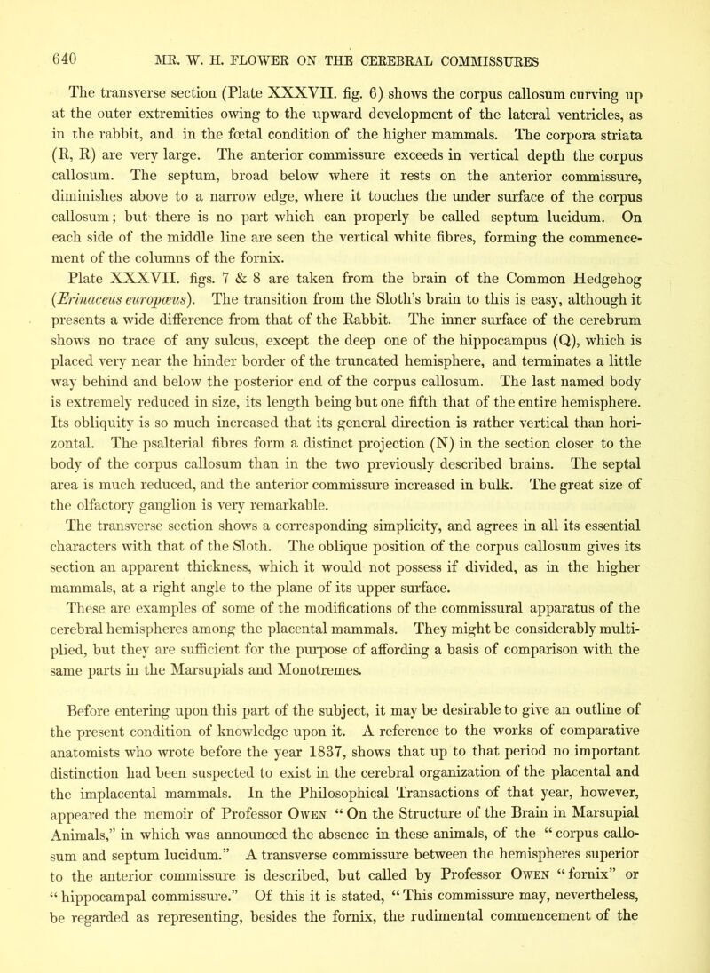 The transverse section (Plate XXXVII. fig. 6) shows the corpus callosum curving up at the outer extremities owing to the upward development of the lateral ventricles, as in the rabbit, and in the foetal condition of the higher mammals. The corpora striata (R, R) are very large. The anterior commissure exceeds in vertical depth the corpus callosum. The septum, broad below where it rests on the anterior commissure, diminishes above to a narrow edge, where it touches the under surface of the corpus callosum; but there is no part which can properly be called septum lucidum. On each side of the middle line are seen the vertical white fibres, forming the commence- ment of the columns of the fornix. Plate XXXVII. figs. 7 & 8 are taken from the brain of the Common Hedgehog (Erinaceus europceus). The transition from the Sloth’s brain to this is easy, although it presents a wide difference from that of the Rabbit. The inner surface of the cerebrum shows no trace of any sulcus, except the deep one of the hippocampus (Q), which is placed very near the hinder border of the truncated hemisphere, and terminates a little way behind and below the posterior end of the corpus callosum. The last named body is extremely reduced in size, its length being but one fifth that of the entire hemisphere. Its obliquity is so much increased that its general direction is rather vertical than hori- zontal. The psalterial fibres form a distinct projection (N) in the section closer to the body of the corpus callosum than in the two previously described brains. The septal area is much reduced, and the anterior commissure increased in bulk. The great size of the olfactory ganglion is very remarkable. The transverse section shows a corresponding simplicity, and agrees in all its essential characters with that of the Sloth. The oblique position of the corpus callosum gives its section an apparent thickness, which it would not possess if divided, as in the higher mammals, at a right angle to the plane of its upper surface. These are examples of some of the modifications of the commissural apparatus of the cerebral hemispheres among the placental mammals. They might be considerably multi- plied, but they are sufficient for the purpose of affording a basis of comparison with the same parts in the Marsupials and Monotremes. Before entering upon this part of the subject, it may be desirable to give an outline of the present condition of knowledge upon it. A reference to the works of comparative anatomists who wrote before the year 1837, shows that up to that period no important distinction had been suspected to exist in the cerebral organization of the placental and the implacental mammals. In the Philosophical Transactions of that year, however, appeared the memoir of Professor Owen “ On the Structure of the Brain in Marsupial Animals,” in which was announced the absence in these animals, of the “ corpus callo- sum and septum lucidum.” A transverse commissure between the hemispheres superior to the anterior commissure is described, but called by Professor Owen “fornix” or “ hippocampal commissure.” Of this it is stated, “ This commissure may, nevertheless, be regarded as representing, besides the fornix, the rudimental commencement of the