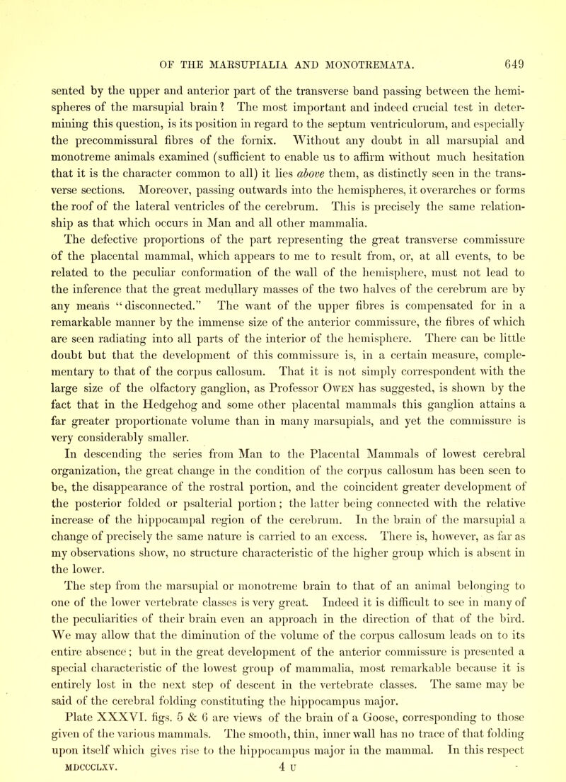 sented by the upper and anterior part of the transverse band passing between the hemi- spheres of the marsupial brain \ The most important and indeed crucial test in deter- mining this question, is its position in regard to the septum ventriculorum, and especially the precommissural fibres of the fornix. Without any doubt in all marsupial and monotreme animals examined (sufficient to enable us to affirm without much hesitation that it is the character common to all) it lies above them, as distinctly seen in the trans- verse sections. Moreover, passing outwards into the hemispheres, it overarches or forms the roof of the lateral ventricles of the cerebrum. This is precisely the same relation- ship as that which occurs in Man and all other mammalia. The defective proportions of the part representing the great transverse commissure of the placental mammal, which appears to me to result from, or, at all events, to be related to the peculiar conformation of the wall of the hemisphere, must not lead to the inference that the great medullary masses of the two halves of the cerebrum are by any means “ disconnected.” The want of the upper fibres is compensated for in a remarkable manner by the immense size of the anterior commissure, the fibres of which are seen radiating into all parts of the interior of the hemisphere. There can be little doubt but that the development of this commissure is, in a certain measure, comple- mentary to that of the corpus callosum. That it is not simply correspondent with the large size of the olfactory ganglion, as Professor Owen has suggested, is shown by the fact that in the Hedgehog and some other placental mammals this ganglion attains a far greater proportionate volume than in many marsupials, and yet the commissure is very considerably smaller. In descending the series from Man to the Placental Mammals of lowest cerebral organization, the great change in the condition of the corpus callosum has been seen to be, the disappearance of the rostral portion, and the coincident greater development of the posterior folded or psalterial portion; the latter being connected with the relative increase of the hippocampal region of the cerebrum. In the brain of the marsupial a change of precisely the same nature is carried to an excess. There is, however, as far as my observations show, no structure characteristic of the higher group which is absent in the lower. The step from the marsupial or monotreme brain to that of an animal belonging to one of the lower vertebrate classes is very great. Indeed it is difficult to see in many of the peculiarities of their brain even an approach in the direction of that of the bird. We may allow that the diminution of the volume of the corpus callosum leads on to its entire absence; but in the great development of the anterior commissure is presented a special characteristic of the lowest group of mammalia, most remarkable because it is entirely lost in the next step of descent in the vertebrate classes. The same may be said of the cerebral folding constituting the hippocampus major. Plate XXXVI. figs. 5 & 6 are views of the brain of a Goose, corresponding to those given of the various mammals. The smooth, thin, inner wall has no trace of that folding upon itself which gives rise to the hippocampus major in the mammal. In this respect mdccclxv. 4 u