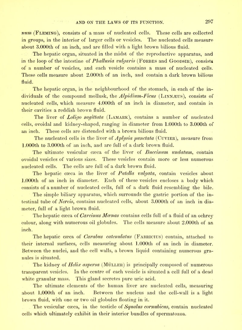 num (Fleming), consists of a mass of nucleated cells. These cells are collected in groups, in the interior of larger cells or vesicles. The nucleated cells measure about 3.000th of an inch, and are filled with a light brown bilious fluid. The hepatic organ, situated in the midst of the reproductive apparatus, and in the loop of the intestine of Phallusia vulgaris (Forbes and Goodsir), consists of a number of vesicles, and each vesicle contains a mass of nucleated cells. These cells measure about 2.000th of an inch, and contain a dark brown bilious fluid. The hepatic organ, in the neighbourhood of the stomach, in each of the in- dividuals of the compound mollusk, the Al-pidium-Ficus (Linnaeus), consists of nucleated cells, which measure 4.000th of an inch in diameter, and contain in their cavities a reddish brown fluid. The liver of Loligo sagittata (Lamark), contains a number of nucleated cells, ovoidal and kidney-shaped, ranging in diameter from 1.000th to 3.000th of an inch. These cells are distended with a brown bilious fluid. The nucleated cells in the liver of Aplysia punctata (Cuvier), measure from 1.000th to 3.000th of an inch, and are full of a dark brown fluid. The ultimate vesicular caeca of the liver of Buccinum undatum, contain ovoidal vesicles of various sizes. These vesicles contain more or less numerous nucleated cells. The cells are full of a dark brown fluid. The hepatic caeca in the liver of Patella vulgata, contain vesicles about 1.000th of an inch in diameter. Each of these vesicles encloses a body which consists of a number of nucleated cells, full of a dark fluid resembling the bile. The simple biliary apparatus, which surrounds the gastric portion of the in- testinal tube of Nereis, contains nucleated cells, about 3.000th of an inch in dia- meter, full of a light brown fluid. The hepatic caeca of Carcinus Mcenas contains cells full of a fluid of an ochrey colour, along with numerous oil globules. The cells measure about 2.000th of an inch. The hepatic caeca of Carabus catenulatus (Fabricius) contain, attached to their internal surfaces, cells measuring about 1.000th of an inch in diameter. Between the nuclei, and the cell walls, a brown liquid containing numerous gra- nules is situated. The kidney of Helix aspersa (Muller) is principally composed of numerous transparent vesicles. In the centre of each vesicle is situated a cell full of a dead white granular mass. This gland secretes pure uric acid. The ultimate elements of the human liver are nucleated cells, measuring about 1.000th of an inch. Between the nucleus and the cell-wall is a light brown fluid, with one or two oil globules floating in it. The vesicular cseca, in the testicle of Squalus cornubicus, contain nucleated cells which ultimately exhibit in their interior bundles of spermatozoa.