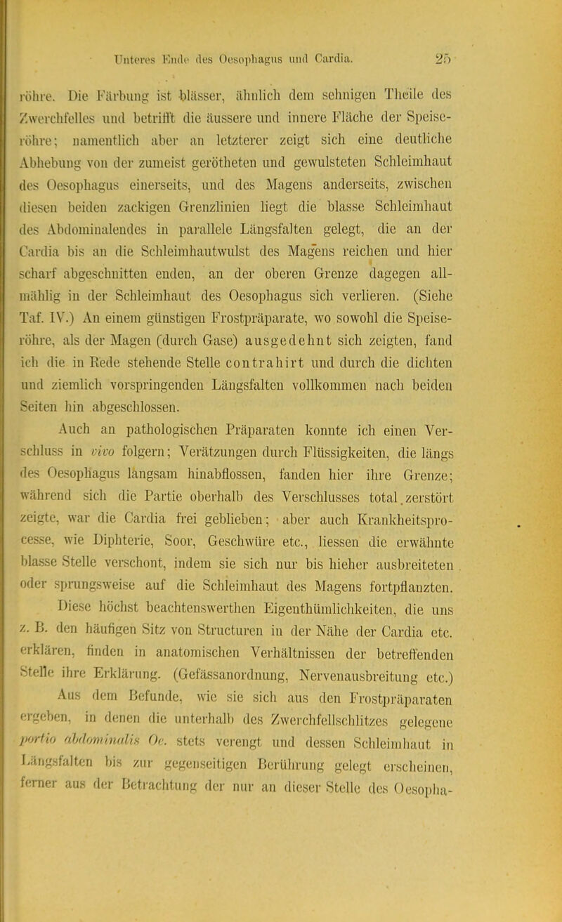 rölire. Die Färbung ist blässer, äliiilicb dein sehnigen Tlieile des Zwerchfelles und betrifft die äussere und innere Fläche der Speise- röhre; namentlich aber an letzterer zeigt sich eine deutliche Abhebung von der zumeist gerötheten und gewulsteten Schleimhaut des Oesophagus einerseits, und des Magens anderseits, zwischen diesen beiden zackigen Grenzlinien liegt die blasse Schleimhaut des Abdominalendes in parallele Längsfalten gelegt, die an der Cardia bis an die Schleimhautwulst des Mag'ens reichen und hier scharf abgeschnitten enden, an der oberen Grenze dagegen all- mählig in der Schleimhaut des Oesophagus sich verlieren. (Siehe Taf. IV.) Au einem günstigen Frostpräparate, wo sowohl die Speise- röhre, als der Magen (durch Gase) ausgedehnt sich zeigten, fand ich die in Rede stehende Stelle contrahirt und durch die dichten und ziemlich vorspringenden Längsfalten vollkommen nach beiden Seiten hin abgeschlossen. Auch an pathologischen Präparaten konnte ich einen Ver- schluss in vivo folgern; Verätzungen durch Flüssigkeiten, die längs des Oesophagus langsam hinabflossen, fanden hier ihre Grenze; während sich die Partie oberhalb des Verschlusses total. zerstört zeigte, war die Cardia frei geblieben ; aber auch Krankheitspro- cesse, wie Diphterie, Soor, Geschwüre etc., Hessen die erwähnte blasse Stelle verschont, indem sie sich nur bis hieher ausbreiteten oder sprungsweise auf die Schleimhaut des Magens fortpflanzten. Diese höchst beachtenswerthen Eigenthümlichkeiten, die uns z. B. den häufigen Sitz von Structuren in der Nähe der Cardia etc. erklären, finden in anatomischen Verhältnissen der betreffenden Stelle ihre Erklärung. (Gefässanordnung, Nervenausbreitung etc.) Aus dem Befunde, wie sie sich aus den Frostpi’äparaten ergeben, in denen die unterhalb des Zwerchfellschlitzes gelegene porfio ahdrmiinnlis Oe. stets verengt und dessen Schleimhaut in Bängsfalten bis zur gegenseitigen Berührung gelegt erscheinen, ferner aus der Betrachtung der nur an dieser Stelle des Oesoplia-