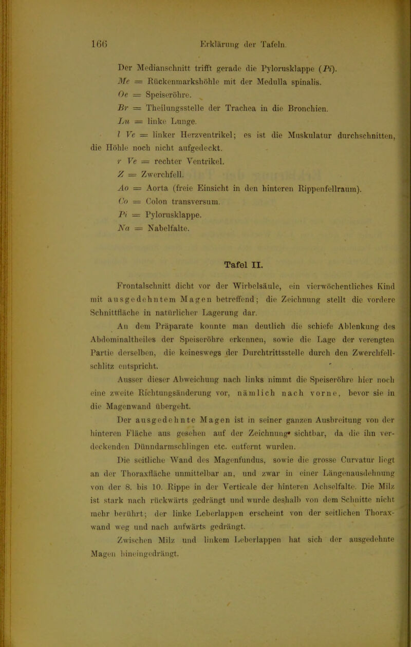 Der Mediansclmitt trifft gerade die rylorusklappe (Pi). Me = Rückenraarksliöhle mit der Medulla spinalis. Oe = Speiseröhre. Br = Theilnngsstelle der Trachea in die Bronchien. Lu = linke Lunge. I Vc — linker Herzventrikel; es ist die Muskulatur durchschnitten, die Höhle noch nicht aufgedeckt, r Ve = rechter Ventrikel. Z — Zwerchfell. Aq = Aorta (freie Einsicht in den hinteren Rippenfellraum). C,o = Colon transversnm. Pi = Rylorusklappe. ~Na = Nabelfalte. Tafel II. Frontalschnitt dicht vor der Wirbelsäule, ein vierwöchentliches Kind mit ausgedehntem Magen betreffend; die Zeichnung stellt die vordere Schnittfläche in natürlicher Lagerung dar. An dem Präparate konnte man deutlich die schiefe Ablenkung des Abdominaltheiles der Speiseröhre erkennen, sowie die Lage der verengten Partie derselben, die keineswegs der Durchtrittsstelle durch den Zwerchfell- schlitz entspricht. Ausser dieser Abweichung nach links nimmt die Speiseröhre hier noch eine zweite Richtungsänderung vor, nämlich nach vorne, bevor sie in die Magenwand übergeht. Der ausgedehnte Magen ist in seiner ganzen Ausbreitung von der hinteren Fläche aus gesehen auf der Zeichnung* sichtbar, da die ihn ver- deckenden Dünndarmschlingen etc. entfernt wurden. Die seitliche Wand des Mag(>nfundus, sowie die grosse Curvatur liegt an der Thoraxfläche unmittelbar an, und zwar in einer Längenausdehnung von der 8. bis 10. Rippe in der Vertic.ale der hinteren Achselfalte. Die Milz ist stark nach rückwärts gedrängt und wurde deshalb von dem Schnitte nicht mehr berührt; der linke Leberlappen erscheint von der seitlichen Thorax- wand weg und nach aufwärts gedrängt. Zwischen Milz und linkem Leberla])i>eu hat sich der ausgedehnte M agen h iiH! i ugedrängt. ^1