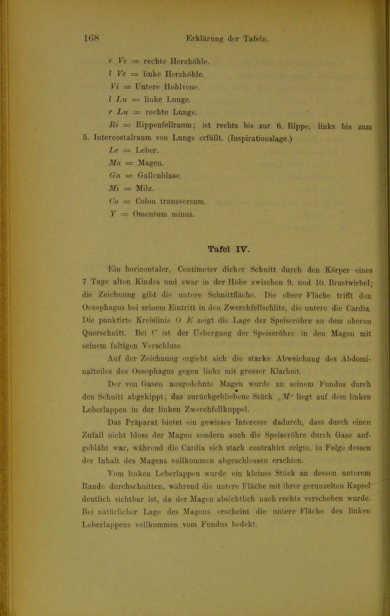 >' Ve = rechte Herzliöhle. I Ve = linke Herzhöhle. Vi = Untere Hohl veno. l Lu — linke Ijuuge. r Lu = rechte Lunge. Hi = Rippenfellraum; ist rechts bis zur 6. Rippe, links bis zum 5. lutercostalraum von Lunge erfüllt. (Inspiratiouslage.) Le = Leber. Ma = Magen. Ga = Gallenblase. Mi = Milz. Co = Colon transversum. Y = Omentum minus. Tafel IV. Ein horizontaler, Centimeter dicker Schnitt durch den Körper eines 7 Tage alten Kindes und zwar in der Höhe zwischen 9. und 10. Brustwirbel; die Zeichnung gibt die untere Schnittfläche. Die obere Fläche trifft den Oeso[)hagus bei seinem Eintritt in den Zwerchfellschlitz, die untere die Cardia. Die puuktirte Kreislinie 0 K zeigt die Lage der Speiseröhre an dem oberen Querschnitt. Bei C ist der TJebergang der Spidseröhi-e • in den Magen mit seinem faltigen Verschluss. Auf der Zeichnung ergiebt sich die starke Abweichung des Abdomi- nalteiles des Oesophagus gegen links mit grosser Klarheit. Der von Gasen ausgedehnte Magen wurde an seinem Fundus durch den Schnitt abgekippt; das zurückgebliebene Stück liegt auf dem linken Leberlappen in der linken Zwerchfellkuppel. Das Präparat bietet ein gewisses Interesse dadurch, dass durch einen Zufall nicht bloss der Magen sondern auch die Speiseröhre durch Gase auf- gebläht war, während die Cardia sich stark contrahirt zeigte, in Folge dessen der Inhalt des Magens vollkommen abgeschlossen erschien. Vom linken Leberlappen wurde ein kleines Stück au dessen unterem Rande durchschnitten, während die uutei’e Fläche mit ihrer gerunzelten Kapsel deutlich sichtbar ist, da der Mageu absichtlich nach rechts verschoben wurde. Bei natürlicher Lage des Magens erscheint die untere Fläche des linken Leberlappens vollkommen vom Fundus hedekt.