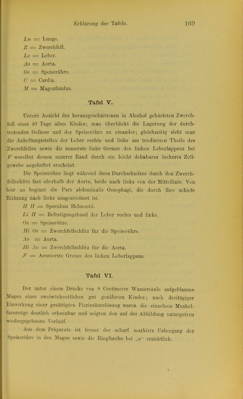 Jai — Lunge. Z = Zwerchfell. Le = Leber. Ao = Aorta. Oe = Speiseröhre. C — Cardia. M = Mageiifuudus. Tafel V. Untere Ansicht des herausgeschnittenen in Alcohol gehärteten Zwerch- fell eines 40 Tage alten Kindes; man überblickt die Lagerung der durch- treteuden Gefässe und der Speiseröhre zu einander; gleichzeitig sieht man die Anheftungsstelleu der Leber rechts und links am tendinösen Theile des Zwerchfelles sowie die äusserste linke Grenze des linken Leberlappens bei F woselbst dessen unterer Rand durch ein leicht dehnbares lockeres Zell- gewebe angeheftet erscheint. Die Speiseröhre liegt während ihres Durchschnittes durch den Zwerch- fellschlitz fast oberhalb der Aorta, beide nach links von der Mittellinie. Von hier au beginnt die Pars abdominalis Oesophagi, die durch ihre schiefe Richtung nach links ausgezeichnet ist. H II = Speculum Helmontii. Li H = Befestigungsband der Leber rechts und links. Oe — Speiseröhre. Hi (Je = Zwerchfellschlitz für die Speiseröhre. Ao — Aorta. Hi Ao = Zwerchfellschlitz für die Aorta. ■F = Aeusserste Grenze des linken Leberlappens. Tafel VI. Der unter einem Drucke von 8 Centimeter Wassersäule aufgeblasene Magen eines zweiwöchentlichen gut genährten Kindes; nach dreitägiger Einwirkung einer gesättigten Picrinsäurelösung waren die einzelnen Muskel- faserzüge deutlich erkennbar und zeigten den auf der Abbildung naturgetreu wiedergegebenen Verlauf. Aus dem Prajiarate ist ferner der scharf markirtc Uebergang der Speiseröhre in den Magen sowie die Ringfurche bei „a“ ersicbtlich.
