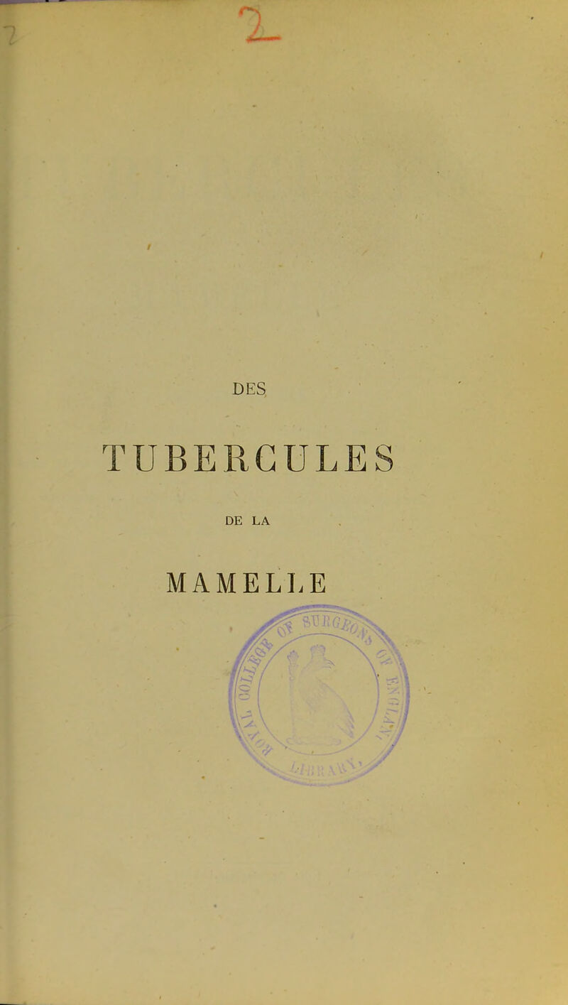 DES TUBERCULES DE LA MAMELLE /