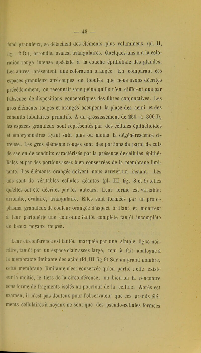 fond granuleux, se détachent des éléments plus volumineux (pl. Iï, jîg. 2 B.), arrondis, ovales, triangulaires. Quelques-uns ont la colo- ration rouge intense spéciale à la couche épithéliale des glandes. Les autres présentent une coloration orangée En comparant ces espaces granuleux aux coupes de lobules que nous avons décrites précédemment, on reconnaît sans peine qu'ils n'en diffèrent que par l'absence de dispositions concentriques des fibres conjonctives. Les gros éléments rouges et orangés occupent la place des acini et des conduits lobulaires primitifs. A un grossissement de 250 à 300 D, les espaces granuleux sont représentés par des cellules épithélioîdes et embryonnaires ayant subi plus ou moins la dégénérescence vi- treuse. Les gros éléments rouges sont des portions de paroi de culs de sac ou de conduits caractérisés par la présence de cellules épithé- liales et par des portions assez bien conservées de la membrane limi- tante. Les éléments orangés doivent nous arrêter un instant. Les uns sont de véritables cellules géantes (pl. III, frg. 8 et 9) telles qu'elles ont été décrites par les auteurs. Leur forme est variable, arrondie, ovalaire, triangulaire. Elles sont formées par un proto- plasma granuleux de couleur orangée d'aspect brillant, et montrent à leur périphérie une couronne tantôt complète tantôt incomplète de beaux noyaux rouges. Leur circonférence est tantôt marquée par une simple ligne noi- râtre, tantôt par un espace clair assez large, tout à fait analogue à la membrame limitante des acini (Pl. III fig.9).Sur un grand nombre, cette membrane limitante n'est conservée qu'en partie ; elle existe *ur la moitié, le tiers de la circonférence, ou bien on la rencontre sous forme de fragments isolés au pourtour de la cellule. Après cet examen, il n'est pas douteux pour l'observateur que ces grands élé- ments cellulaires à noyaux ne sont que des pseudo-cellules formées