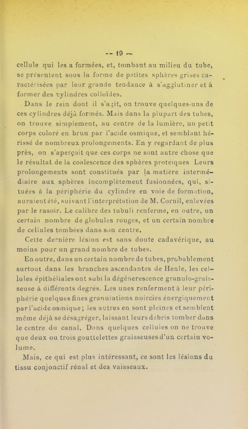 cellule qui les a formées, et, tombant au milieu du tube, se présentent sous la forme de petites sphères grises ca- ractérisées par leur grande tendance à s’agglutiner et à former des ■cylindres colloïdes. Dans le rein dont il s’a git, on trouve quelq ues-u ns de ces cylindres déjà formés. Mais dans la plupart des tubes, on trouve simplement, au centre de la lumière, un petit corps coloré en brun par l’acide osmique, et semblant hé- rissé de nombreux prolongements. En y regardant de plus près, on s’aperçoit que ces corps ne sont autre chose que le résultat de la coalescence des sphères protéiques Leurs prolongements sont constitués par la matière intermé- diaire aux. sphères incomplètement fusionnées, qui, si- tuées à la périphérie du cylindre en voie de formation, auraientété, suivant l’interprétation de M. Cornil, enlevées par le rasoir. Le calibre des tubuli renferme, en outre, un certain nombre de globules rouges, et un certain nombre de cellules tombées dans son centre. Cette dernière lésion est sans doute cadavérique, au moins pour un grand nombre de tubes. Enoutre,dansun certain nombre de tubes, probablement surtout dans les branches ascendantes de Henle, les cel- lules épithéliales ont subi la dégénérescence granulo-grais- seuse à différents degrés. Les unes renferment à leur péri- phérie quelques fines granulations noircies énergiquement par l’acide osmique ; les autres en sont pleines et semblent même déjàse désagréger, laissant leurs débris tomber dans le centre du canal. Dans quelques cellules on ne trouve que deux ou trois gouttelettes graisseuses d’un certain vo- lume. Mais, ce qui est plus intéressant, ce sont les lésions du tissu conjonctif rénal et des vaisseaux.