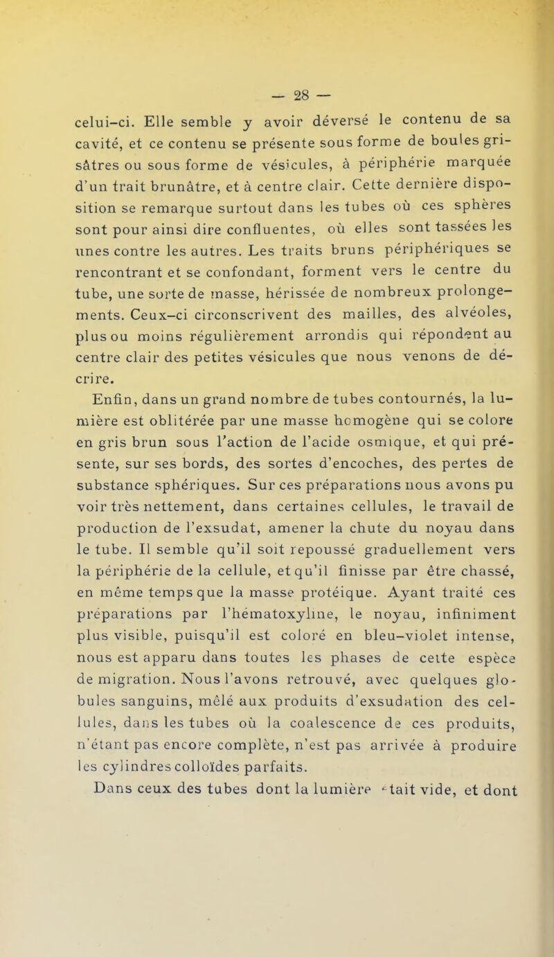 celui-ci. Elle semble y avoir déversé le contenu de sa cavité, et ce contenu se présente sous forme de boules gri- sâtres ou sous forme de vésicules, à périphérie marquée d’un trait brunâtre, et à centre clair. Cette dernière dispo- sition se remarque surtout dans les tubes où ces sphères sont pour ainsi dire confluentes, où elles sont tassées les unes contre les autres. Les traits bruns périphériques se rencontrant et se confondant, forment vers le centre du tube, une sorte de masse, hérissée de nombreux prolonge- ments. Ceux-ci circonscrivent des mailles, des alvéoles, plus ou moins régulièrement arrondis qui répondent au centre clair des petites vésicules que nous venons de dé- crire. Enfin, dans un grand nombre de tubes contournés, la lu- mière est oblitérée par une masse homogène qui se colore en gris brun sous l’action de l’acide osmique, et qui pré- sente, sur ses bords, des sortes d’encoches, des pertes de substance sphériques. Sur ces préparations nous avons pu voir très nettement, dans certaines cellules, le travail de production de l’exsudât, amener la chute du noyau dans le tube. Il semble qu’il soit repoussé graduellement vers la périphérie de la cellule, et qu’il finisse par être chassé, en même temps que la masse protéique. Ayant traité ces préparations par l’hematoxylme, le noyau, infiniment plus visible, puisqu’il est coloré en bleu-violet intense, nous est apparu dans toutes les phases de cette espèce de migration. Nous l’avons retrouvé, avec quelques glo- bules sanguins, mêlé aux produits d’exsudation des cel- lules, dans les tubes où la coalescence de ces produits, n’étant pas encore complète, n’est pas arrivée à produire les cylindres colloïdes parfaits. Dans ceux des tubes dont la lumière Aaitvide, et dont