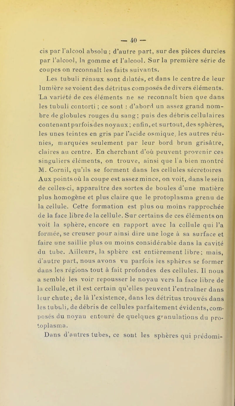 cis par l’alcool absolu ; d’autre part, sur des pièces durcies par l’alcool, la gomme et l’alcool. Sur la première série de coupes on reconnaît les faits suivants. Les tubuli rénaux sont dilatés, et dans le centre de leur lumière se voient des détritus composés de divers éléments. La variété de ce s éléments ne se reconnaît bien que dans les tubuli contorti ; ce sont : d’abord un assez grand nom- bre de globules rouges du sang; puis des débris cellulaires contenantparfoisdes noyaux; enfin,et surtout, des sphères, les unes teintes en gris par l’acide osmique. les autres réu- nies, marquées seulement par leur bord brun grisâtre, claires au centre. En cherchant d’où peuvent provenir ces singuliers éléments, on trouve, ainsi que 1 a bien montré M. Corail, qu’ils se forment dans les cellules sécrétoires Aux points où la coupe est assez mince, on voit, dans le sein de celles-ci, apparaître des sortes de boules d’une matière plus homogène et plus claire que le protoplasma grenu de la cellule. Cette formation est plus ou moins rapprochée de la face libre de la cellule. Sur certains de ces éléments on voit la sphère, encore en rapport avec la cellule qui l’a formée, se creuser pour ainsi dire une loge à sa surface et faire une saillie plus ou moins considérable dans la cavité du tube. Ailleurs, la sphère est entièrement li bre ; mais, d’autre part, nous avons vu parfois les sphères se former dans les régions tout à fait profondes des cellules. Il nous a semblé les voir repousser le noyau vers la face libre de la cellule, et il est certain qu’elles peuvent l’entraîner dans leur chute ; de là l’existence, dans les détritus trouvés dans les tubuli, de débris de cellules parfaitement évidents, com- posés du noyau entouré de quelques granulations du pro- lo plasma. Dans d'autres tubes, ce sont les sphères qui prédomi-