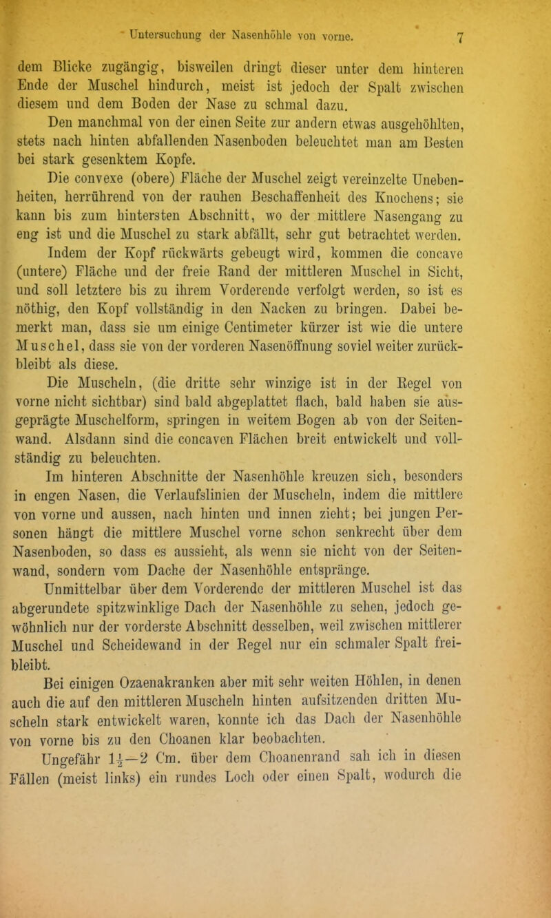 dem Blicke zugängig, bisweilen dringt dieser unter dem hinteren Ende der Muschel hindurch, meist ist jedoch der Spalt zwischen diesem und dem Boden der Nase zu schmal dazu. Den manchmal von der einen Seite zur andern etwas ausgehöhlten, stets nach hinten abfallenden Nasenboden beleuchtet man am Besten bei stark gesenktem Kopfe. Die convexe (obere) Fläche der Muschel zeigt vereinzelte Uneben- heiten, herrührend von der rauhen Beschaffenheit des Knochens; sie kann bis zum hintersten Abschnitt, wo der mittlere Nasengang zu eng ist und die Muschel zu stark abfällt, sehr gut betrachtet werden. Indem der Kopf rückwärts gebeugt wird, kommen die concave (untere) Fläche und der freie Rand der mittleren Muschel in Sicht, und soll letztere bis zu ihrem Vorderende verfolgt werden, so ist es nöthig, den Kopf vollständig in den Nacken zu bringen. Dabei be- merkt man, dass sie um einige Centimeter kürzer ist wie die untere Muschel, dass sie von der vorderen Nasenöffnung soviel weiter zurück- bleibt als diese. Die Muscheln, (die dritte sehr winzige ist in der Regel von vorne nicht sichtbar) sind bald abgeplattet flach, bald haben sie aus- geprägte Muschelform, springen in weitem Bogen ab von der Seiten- wand. Alsdann sind die concavcn Flächen breit entwickelt und voll- ständig zu beleuchten. Im hinteren Abschnitte der Nasenhöhle kreuzen sich, besonders in engen Nasen, die Verlaufslinien der Muscheln, indem die mittlere von vorne und aussen, nach hinten und innen zieht; bei jungen Per- sonen hängt die mittlere Muschel vorne schon senkrecht über dem Nasenboden, so dass es aussieht, als wenn sie nicht von der Seiten- wand, sondern vom Dache der Nasenhöhle entspränge. Unmittelbar über dem Vorderende der mittleren Muschel ist das abgerundete spitzwinklige Dach der Nasenhöhle zu sehen, jedoch ge- wöhnlich nur der vorderste Abschnitt desselben, weil zwischen mittlerer Muschel und Scheidewand in der Regel nur ein schmaler Spalt frei- bleibt. Bei einigen Ozaenakranken aber mit sehr weiten Höhlen, in denen auch die auf den mittleren Muscheln hinten aufsitzenden dritten Mu- scheln stark entwickelt waren, konnte ich das Dach der Nasenhöhle von vorne bis zu den Choanen klar beobachten. Ungefähr 1^—2 Cm. über dem Choanenrand sah ich in diesen Fällen (meist links) ein rundes Loch oder einen Spalt, wodurch die
