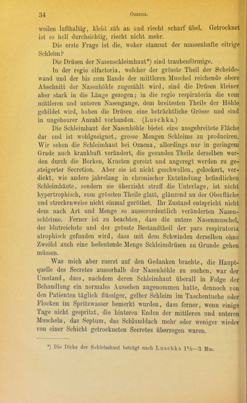 weilen lufthaltig, klebt zäh an und riecht scharf übel. Getrocknet ist cs hell durchsichtig, riecht nicht mehr. Die erste Frage ist die, woher stammt der massenhafte eitrige Schleim? Die Drüsen der Nasenschleimhaut*) sind traubenförmige. In der regio olfactoria, welcher der grösste Theil der Scheide- wand und der bis zum Rande der mittleren Muschel reichende obere Abschnitt der Nasenhöhle zugezählt wird, sind die Drüsen kleiner aber stark in die Länge gezogen; in die regio respiratoria die vom mittleren und unteren Nasengange, dem breitesten Theile der Höhle gebildet wird, haben die Drüsen eine beträchtliche Grösse und sind in ungeheurer Anzahl vorhanden. (Luschka.) Die Schleimhaut der Nasenhöhle bietet eine ausgebreitete Fläche dar und ist wohlgeeignet, grosse Mengen Schleims zu produciren. Wir sehen die Schleimhaut bei Ozaena, allerdings nur in geringem Grade auch krankhaft verändert, die gesunden Theile derselben wer- den durch die Borken, Krusten gereizt und angeregt werden zu ge- steigerter Secretion. Aber sie ist nicht geschwollen, gelockert, ver- dickt. wie andere jahrelang in chronischer Entzündung befindlichen Schleimhäute, sondern sie überzieht straff die Unterlage, ist nicht hypertrophisch, zum grössten Theile glatt, glänzend an der Oberfläche und streckenweise nicht einmal geröthet. Ihr Zustand entspricht nicht dem nach Art und Menge so ausserordentlich veränderten Nasen- schleime. Ferner ist zu beachten, dass die untere Nasenmuschel, der blutreichste und der grösste Bestandtheil der pars respiratoria atrophisch gefunden wird, dass mit dem Schwinden derselben ohne Zweifel auch eine bedeutende Menge Schleimdrüsen zu Grunde gehen müssen. Was mich aber zuerst auf den Gedanken brachte, die Haupt- quelle des Secretes ausserhalb der Nasenhöhle zu suchen, war der Umstand, dass, nachdem deren Schleimhaut überall in Folge der Behandlung ein normales Aussehen angenommen hatte, dennoch von den Patienten täglich flüssiger, gelber Schleim im Taschentuche oder Flocken im Spritzwasser bemerkt wurden, dass ferner, wenn einige Tage nicht gespritzt, die hinteren Enden der mittleren und unteren Muscheln, das Septum, das Schlunddach mehr oder weniger wieder von einer Schicht getrockneten Secretes üborzogen waren. *) Die Dicke der Schleimhaut betragt nach Luschka U/a—3 Mm.