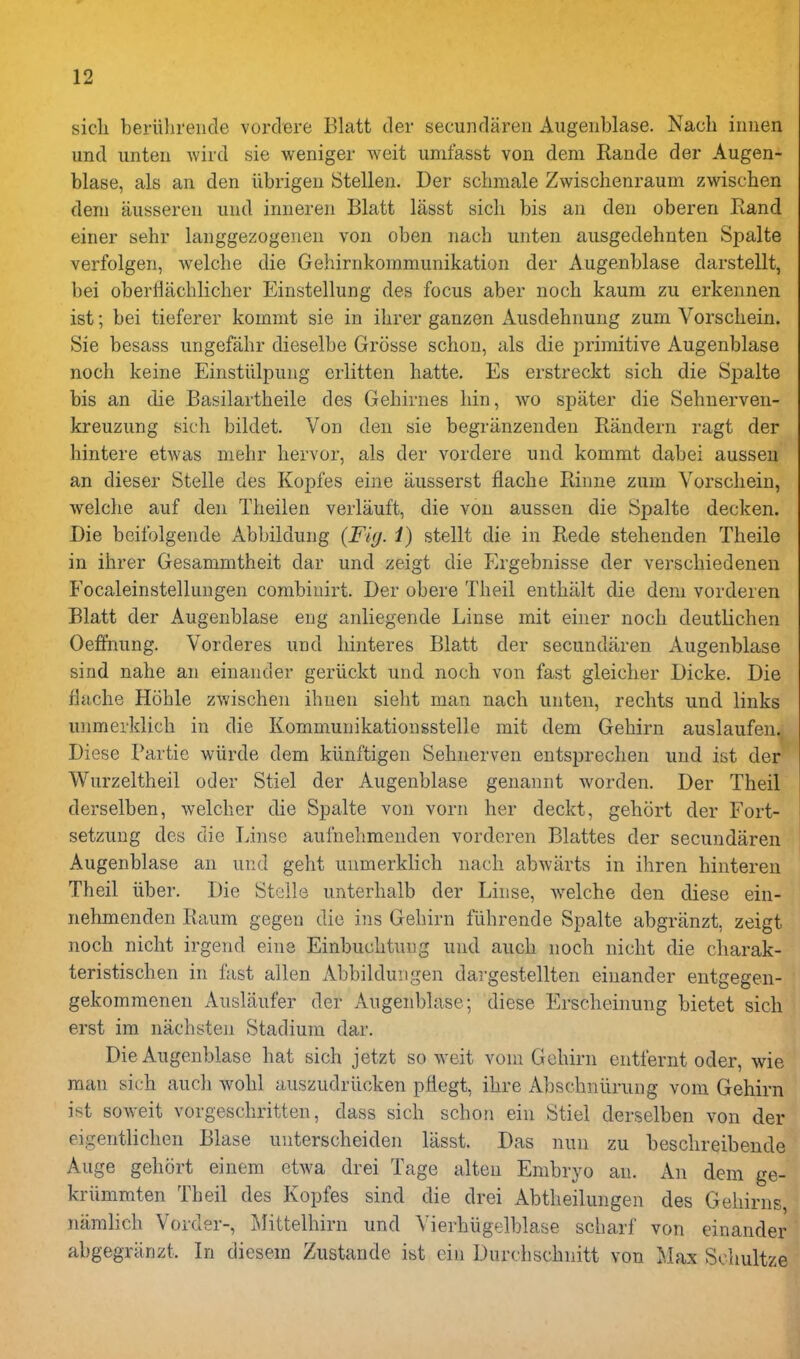 sicli beriilirencle vorclere Blatt tier secundaren Augeriblase. Nach inuen unci unteii wircl sie weniger weit umfasst von dera Rande der Augen- blase, als an den iibrigen Stellen. Der scbmale Zwischenraum zwischen deni ausseren und inneren Blatt lasst sicli bis an den oberen Rand einer sehr langgezogenen von oben nach unten aiisgedehnten Spalte verfolgen, welche die Gehirnkommunikation der Augenblase darstellt, bei oberflachlicher Einstellung des focus aber nocb kaum zu erkennen ist; bei tieferer komnit sie in ihrer ganzen x^usdehnung zum Vorscliein. Sie besass ungefahr dieselbe Grosse schon, als die primitive Augenblase nocb keine Einstiilpung erlitten hatte. Es erstreckt sich die Spalte bis an die Basilartheile des Gebirnes bin, wo spiiter die Sehnerven- kreuzung sich bildet. Von den sie begriinzenden Randern ragt der hintere etwas mehr hervor, als der vordere und kommt dabei aussen an dieser Stelle des Kopfes eine iiusserst flache Rinne zum Vorscliein, welche auf den Theilen verlauft, die von aussen die Spalte decken. Die beifolgende Abbildung {Fiy. i) stellt die in Rede stehenden Theile in ihrer Gesammtheit dar und zeigt die Ergebnisse der verschiedenen Focaleinstelluugen combiuirt. Der obere Theil enthalt die deni vorderen Blatt der Augenblase eug anliegende Linse mit einer nocb deutlichen Oeffiiung. Vorderes und hinteres Blatt der secundiiren Augenblase sind nahe an einander geriickt und noch von fast gleicher Dicke. Die flache Hohle zwischen ihueii sielit man nach unten, rechts und links unmerklich in die Kommunikationsstelle mit dem Gehirn auslaufen. Diese Partic wiirde dem kiinftigen Sehnerven entsprechen und ist der Wurzeltheil oder Stiel der Augenblase geuannt worden. Der Tbeil derselben, welcher die Spalte von vorn her deckt, gehort der Fort- setzuug des die Linse aufnehmenden vorderen Blattes der secundaren Augenblase an und geht unmerklich nach abwarts in ihren hintereu Theil iiber. Die Stelle unterhalb der Linse, w^elche den diese eiu- nehmenden Raum gegen die ins Gehirn fiihrende Spalte abgranzt, zeigt noch nicht irgend eine EinbuchtuDg und auch noch nicht die charak- teristischen in fast alien Abbildungen dargestellten einander entgegen- gekommenen Auslaufer der Augenblase; diese Erscheinung bietet sich erst im nachsten Stadium dar. Die Augenblase hat sich jetzt so weit vom Gehirn entfernt oder, wie man sich audi wohl auszudriicken pfiegt, ibre Abschniirung vom Gehirn ist soweit vorgeschritten, dass sich schon ein Stiel derselben von der eigentlichen Blase unterscheiden lasst. Das nun zu beschreibende Auge gehort einem etwa drei Tage alten Embryo an. An dem ge- kriimmten Theil des Kopfes sind die drei Abtheilungen des Gehirns niimlich Vorder-, Mittelhirn und Vierhligelblase scharf von einander abgegranzt. In diesem Zustande ist eiu Durchschnitt von Max Sohultze