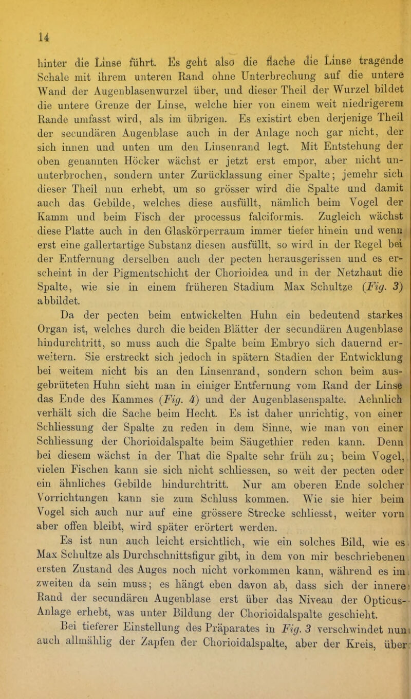 liinter die Linse fuhrt. Es geht also die flache die Lmse tragende Schale mit ihrem untereu Rand ohne Unterbrecliung auf die untere Wand der Augeublasenwurzel iiber, und dieser Theil der Wurzel bildet die untere Greuze der Linse, welche bier von einem weit niedrigerem Rande umfasst wird, als im iibrigen. Es existirt eben derjenige Tbeil der secundiiren Augenblase auch in der Anlage noch gar nicbt, der sicb innen und unten um den Linsenrand legt. Mit Entstehung der oben genannten Hocker wachst er jetzt erst empor, aber nicbt un- unterbrochen, sondern unter Zuriicklassung einer Spalte; jemehr sicb dieser Theil nun erbebt, um so grosser wird die Spalte und damit auch das Gebilde, welches diese ausfiillt, namlich beim Vogel der Kamm und beim Fisch der processus falciformis. Zugleich wachst diese Platte auch in den Glaskorperraum immer tiefer hinein und wenn erst eine gallertartige Substanz diesen ausfiillt, so wird in der Regel bei der Entfernung derselben auch der pecten herausgerissen und es er- scheint in der Pigmentschicht der Cliorioidea und in der Netzhaut die Spalte, wie sie in einem friiheren Stadium Max Schultze {Fig. 3) abbildet. Da der pecten beim entwickelten Huhn ein bedeutend starkes Organ ist, welches durch die beiden Blatter der secundaren Augenblase hindurchtritt, so muss auch die Spalte beim Embryo sich dauernd er- weitern. Sie erstreckt sich jedoch in spatern Stadien der Entwicklung bei weitem nicht bis an den Linsenrand, sondern schon beim aus- gebriiteten Huhn sieht man in einiger Entfernung vom Rand der Linse das Ende des Kammes (Fig. 4) und der Augenblasenspalte. Aehnlich verhalt sich die Sache beim Hecht. Es ist daher unrichtig, von einer Schliessung der Spalte zu reden in dem Sinne, wie man von einer Schliessung der Chorioidalspalte beim Saugethier reden kann. Denn bei diesem wachst in der That die Spalte sehr friib zu; beim Vogel, vielen Fischen kann sie sich nicht schliessen, so weit der pecten oder ein ahnliches Gebilde hindurchtritt. Nur am oberen Ende soldier Vorrichtungen kann sie zum Schluss kommen. Wie sie bier beim Vogel sich auch nur auf eine grossere Strecke schliesst, weiter vorn aber offen bleibt, wird spater erortert werden. Es ist nun auch leicht ersichtlich, wie ein solches Bild, wie es Max Schultze als Durchschnittsfigur gibt, in dem von mir beschriebenen ersten Zustand des Auges noch nicht vorkommen kann, wahrend es im zweiten da sein muss; es hangt eben davon ab, dass sich der innere- Rand der secundiiren Augenblase erst iiber das Niveau der Opticus- Anlage erbebt, was unter Bildung der Chorioidalspalte geschielit. Bei tieferer Einstellung des Praparates in Fig. 3 verschwindet num auch allmahlig der Zapfen der Chorioidalspalte, aber der Kreis, iiber