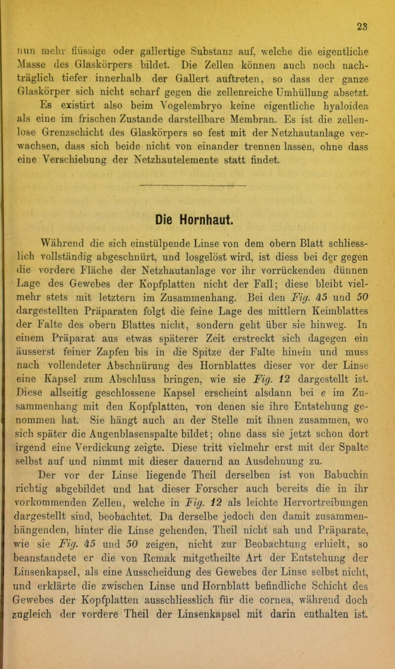 nun meln- fiiissige oder gallertige Substanz auf, Avelclie die eigentliclie Masse des Glaskorpers bildet. Die Zellen konnen audi noch nacli- traglich tiefer innerhalb der Gallert auftreten, so dass der ganze Glaskorper sich nicbt scbarf gegen die zellenreiche Umhiillung absetzt. Es existirt also beim Vogelembryo keine eigentliche byaloidea als eine im frischen Zustande darstellbare Merabran. Es ist die zellen- lose Grenzschiclit des Glaskorpers so fest mit der Netzhautanlage ver- wachsen, dass sich beide nicht von einander trennen lassen, ohne dass eine Verschiebung der Netzhautelemente statt findet. Die Hornhaut. Wahrend die sich einstiilpeude Linse von dem obern Blatt schliess- lich vollstandig abgeschniirt, und losgelost wird, ist diess bei der gegen die vordere Flache der Netzhautanlage vor ihr vorriickenden diinnen Lage des Gewebes der Kopfplatten nicht der Fall; diese bleibt viel- mehr stets rait letztern im Zusammenhang. Bei den Fig. 45 und 50 dargestellten Praparaten folgt die feine Lage des mittlern Keimblattes der Falte des obern Blattes nicht, sondern geht liber sie hinweg. In einem Praparat aus etwas spaterer Zeit erstreckt sich dagegen ein iiusserst feiner Zapfen bis in die Spitze der Falte hinein und muss nach vollendeter Abschniirung des Hornblattes dieser vor der Linse eine Kapsel zum Abschluss bringen, wie sie Fig. i2 dargestellt ist. Diese allseitig geschlossene Kapsel erscheint alsdann bei e im Zu- sammenhang mit den Kopfplatten, von denen sie ihre Entstehung ge- noramen hat. Sie hangt auch an der Stelle mit ihnen zusamnien, wo sich spater die Augenblasenspalte bildet; ohne dass sie jetzt schon dort irgend eine Verdickung zeigte. Diese tritt vielmehr erst mit der Spalte selbst auf und nimmt mit dieser dauerud an Ausdehnung zu. Der vor der Linse liegende Theil derselben ist von Babuchin richtig abgebildet und hat dieser Forscher auch bereits die in ihr vorkommenden Zellen, welche in Fig. 12 als leichte Hervortreibungen dargestellt sind, beobachtet. Da derselbe jedoch den damit zusammen- hangenden, hiuter die Linse gehenden, Theil nicht sah und Praparate, wie sie Fig. 45 und 50 zeigen, nicht zur Beobachtung erhielt, so beanstandete er die von Remak mitgetlieilte Art der Entstehung der Linsenkapsel, als eine Ausscheidung des Gewebes der Linse selbst nicht, und erklarte die zwischen Linse und Hornblatt befindliche Schicht des Gewebes der Kopfplatten ausschliesslich fiir die cornea, wahrend doch zugleich der vordere Theil der Linsenkapsel mit darin euthalten ist.