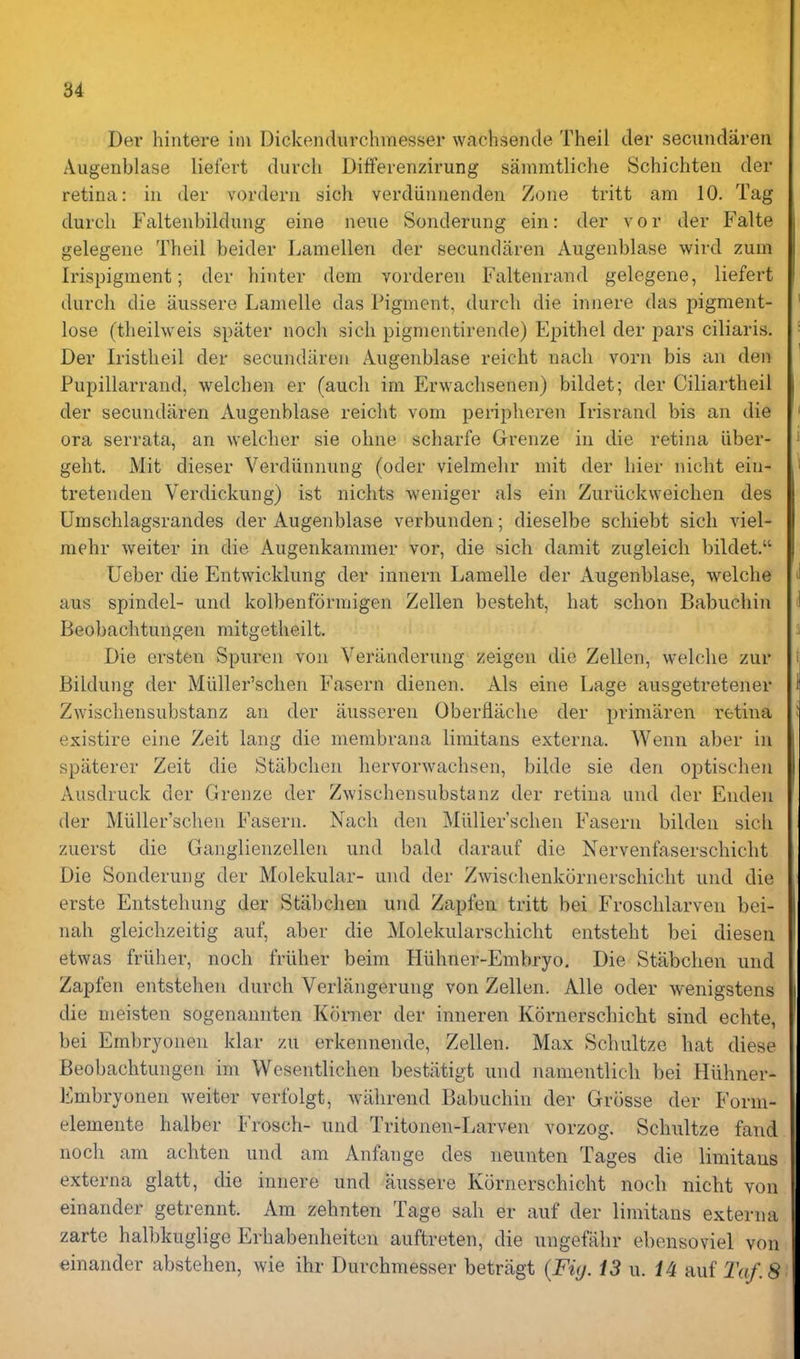 Der hintere iin Dickendurchmesser wachsencte Theil der secimdareii Augenblase liefert durch Diffeienzirung sainmtliche Schichteii der retina: in der vordern sich verdiinnenden Zone tritt am 10. Tag durch Faltenbildung eine neue Sonderung ein: der v o r der P^alte gelegene Theil beider Lamellen der secundaren Augenblase wird zum Irispigment; der hinter dem vorderen Faltenrand gelegene, liefert durch die aussere Lamelle das Pigment, durch die innere das pigment- lose (theilweis spiiter nocli sich pigmentirende) Epithel der pars ciliaris. Der Iristheil der secundaren Augenblase reicht nach vorn bis an den Pupillarrand, welchen er (audi im Erwaclisenen) bildet; der Ciliartheil der secundaren Augenblase reicht vom peripheren Irisrand bis an die era serrata, an welclier sie ohne scharfe Grenze in die retina iiber- geht. Mit dieser Verdiinnung (oder vielmelir mit der hier nicht ein- tretenden Verdickung) ist nichts weniger als ein Zuriickweichen des Umschlagsrandes der Augenblase verbunden; dieselbe schiebt sich viel- niehr weiter in die Augenkammer vor, die sich damit zugleich bildet. Ueber die Entwicklung der innern Lamelle der Augenblase, welche aus spindel- und kolbenformigen Zellen besteht, hat schon Babuchin Beobachtungen mitgetheilt. Die ersten Spuren von Verilnderung zeigen die Zellen, welche zur Biklung der Miiller'schen Fasern dienen. Als eine Lage ausgetretener Zwiscliensubstanz an der ausseren Oberflache der primaren retina existire eine Zeit lang die membrana limitans externa. Wenn aber in spiiterer Zeit die Stabchen hervorwachsen, bilde sie den optischen Ausdruck der Grenze der Zwischensubstanz der retina und der Enden der Miiller'schen Fasern. Nach den Miiller'schen Fasern bilden sich zuerst die Ganglienzellen und bald darauf die Nervenfaserschicht Die Sonderung der Molekular- und der Zwischenkornerschicht und die erste Entstehung der Stabchen und Zapfeu tritt bei Froschlarven bei- nah gleichzeitig auf, aber die Molekularschicht entsteht bei dieseu etwas friiher, noch friiher beim Hiihner-Embryo. Die Stabchen und Zapfen entstehen durch Verlangerung von Zellen. Alle oder wenigstens die meisten sogenannten Korner der inneren Kornerschicht sind echte, bei Embryonen klar zu erkennende, Zellen. Max Schultze hat diese Beobachtungen im Wesentlichen bestiitigt und nanientlich bei Hiihner- Embryonen weiter verfolgt, wiilirend Babuchin der Griisse der Form- elemente halber Frosch- und Tritonen-Larven vorzog. Schultze fand noch am achten und am Anfange des neunten Tages die limitaus externa glatt, die innere und aussere Kornerschicht noch nicht von einander getrennt. Am zehnten Tage sah er auf der limitans externa zartc halbkuglige Erhabenheiten auftreten, die ungefahr ebensoviel von einander abstehen, wie ihr Durchmesser betragt {Fiy. iS u. /4 auf 8