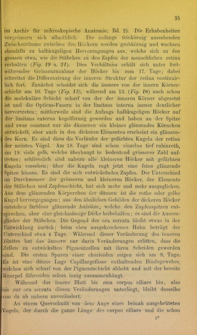 im Arcliiv fiir mikroskopische Anatomie, Bd. 2). Die Erhabenheiten vergrosseni sich alimiihlich. Die anfangs leiiikornig aiissehenden Zwischenriiume zwisclien den Hockerii werden grobkornig und wachsen ebenfalls zu halbkugeligen Hervorragungen aiis, welche sich zii den grossen etwa, wie die StLibchen zu den Zapfen der menschliclien retina verhalten (Fig. 19 u. 21). Dies Yerhiiltniss erhalt sich iinter fort- wiihrcnder Grcissenzunahrae der HGcker bis ziim 17. Tage; dabei schreitet die Differenzirung der inneren Struktur der retina continuir- lich fort. Zuniichst scheidet sich die aiissere von der innern Korner- schicht am 10. Tage (Fig. wiihrend am 13. (Fig. iS) auch schon die molekulare Schicht scharf von der der inneren Korner abgesetzt ist und die Opticus-Fasern in der limitans interna immer deutlicher hervortreten; mittlerweile sind die Anfangs halbkugeligen Hocker auf dor limitans externa kegelformig geworden und haben an der Spitze und zwar constant nur die diinneren ein kleines gliinzendes Kornchen entwickelt, aber auch in den dickeren Elementen erscheint ein gliinzen- des Korn, Es sind diess die Vorlaufer der gefarbten Kugeln der retina der meisten Vogel. Am 18. Tage sind schon einzelne tief rubinroth, am 19. viele gelb, welche iiberhaupt in bedeutend grosserer Zahl auf- treten; schliesslich sind nahezu alle kleineren Hocker mit gefarbten Kugeln versehen; liber die Kugeln ragt jetzt eine feine glanzende Spitze hinaus. Es sind die sich entwickelnden Zapfen. Der Unterschied im Durchmesser der grosseren und kleineren Hocker, der Elemente der Stfibchen und Zapfenschicht, hat sich mehr und mehr ausgeglichen. Aus dera gliinzenden Kcirperchen der diinnen ist die rothe oder gelbe Kugel hervorgegangen; aus den ahnliclien Gebilden der dickeren Hocker entstchen farblose glanzende Aufsatze, welche den Zapfenspitzen ent- sprechen, aber eine gleichmassige Dicke beibehalten; es sind die Aussen- glieder der Stabchen. Die Gegend der ora serrata bleibt etwas in der Entwicklung zuriick; beim eben ausgekroclienen Huhn betriigt der Unterschied etwa 4 Tage. Wiihrend dieser Veranderung des inneren Blattes hat das iiussore nur darin Veriinderungen erlitten, dass die Zelleu zu entwickelten Pigmentzellen mit ihren Scheiden geworden sind. Die ersten Spuren einer chorioidea zeigen sich am 9. Tage. Es ist eine diinne Lage Capillargefiisse enthaltenden Bindegewebes, v^•elches sich scharf von der Pigmentschicht abhebt und mit der bereits Knorpel fiihrenden sclera innig zusammenhangt. Wahrend das innere Blatt bis zum corpus ciliare hin, also bis zur ora serrata diesen Verauderungen unterliegt, bleibt dasselbe von da ab nahezu unveriindert. An ein em Querschnitt von dem Auge eines beinah ausgebriiteten Vogels, der durch die ganze Lange des corpus ciliare und die schon 3*