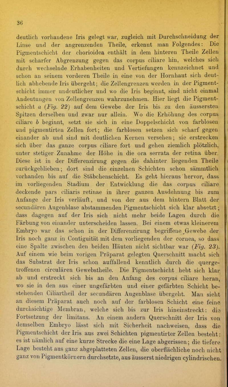 deutlich vorliandene Iris gelegt war, zugleich mit Durchschneidung der Liiise und der angrenzenden Theile, erkennt man Folgendes: Die Pigmentschicht der cliorioidea enthalt in dem liinteren Theile Zellen mit scharfer Abgrenzung gegen das corpus ciliare hin, welches sicli durch wechselnde Erhabenheiten und Vertiefungen kennzeiclinet und sclion an seinem vorderen Theile in eine von der Hornhaut sich deut- lich abhebende Iris iibergeht; die Zellengrenzen werdeii in der Pigment- schicht imnier undoutlicher und wo die Iris beginnt, sind niclit einmal Andeutungen von Zellengrenzen wahrzunehraen. Hier liegt die Pigment- schicht a {Fig. 22) auf dem Gewebe der Iris bis zu den aussersten Spitzen derselben und zwar nur allein. Wo die Erhcihung des corpus ciliare h beginnt, setzt sie sich in eine Doppelschicht von farblosen und pigmentirten Zellen fort; die farblosen setzen sich scharf gegen einander ab und sind mit deutlichen Kernen versehen; sie erstrecken sich iiber das ganze corpus ciliare fort und gehen ziemlich plotzlich, unter stetiger Zunahme der Hohe in die ora serrata der retina iiber. Diese ist in der Differenzirung gegen die dahinter liegenden Theile zuriickgeblieben; dort sind die einzelnen Schichten schon sammtlich vorhanden bis auf die Stabchenschicht. Es geht hieraus hervor, dass im vorliegenden Stadium der Entwicklung die das corpus ciliare deckende pars ciliaris retinae in ihrer ganzen Ausdehnung bis zum Anfange der Iris verlauft, und von der aus dem hintern Blatt der secundaren Augenblase abstammenden Pigmentschicht sich klar absetzt; dass dagegen auf der Iris sich nicht mehr beide Lagen durch die Farbung von einander unterscheiden lassen. Bei einem etwas kleinerem Embryo war das schon in der Differenzirung begriffene Gewebe der Iris noch ganz in Contiguitat mit dem vorliegenden der cornea, so dass eine Spalte zwischen den beiden Hauten nicht sichtbar war {Fig. 23). Auf einem wie beim vorigen Praparat gelegten Querschnitt macht sich das Substrat der Iris schon auffallend kenutlich durch die querge- troffenen circularen Gewebstheile. Die Pigmentschicht hebt sich klar ab und erstreckt sich bis an den Anfang des corpus ciliare heran, wo sie in den aus einer ungefiirbten und einer gefarbten Schicht be- stehenden Cihartheil der secundaren Augenblase iibergeht. Man sieht an diesem Praparat auch noch auf der farblosen Schicht eine feine durchsichtige Membran, welche sich bis zur Iris hinehistreckt: dis Fortsetzung der limitans. An einem andern Querschnitt der Iris von demselben Embryo lasst sich mit Sicherheit nachweisen, dass die Pigmentschicht der Iris aus zwei Schichten pigmentirter Zellen besteht: es ist namlich auf eine kurze Strecke die eine Lage abgerissen; die tiefere Lage besteht aus ganz abgeplatteten Zellen, die oberflachliche noch nicht ganz von Pigmentkornern durchsetzte, aus ausserst niedrigen cylindrischeu.