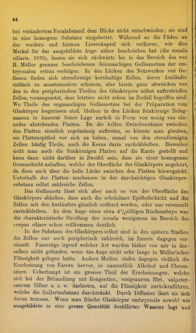 bei verandertem Focalabstand dem Blicke nicht entscliwinden; sie sind in eine liomogene Substanz eingebettet. Wahrend s>o die Fadeii an der vorderu und hintern Linsenkapsel sich verlieren, wie dies Merkel fiir das ausgebildete Auge naher beschrieben hat (die zonula ciliaris. 1870), lassen sie sich riickwarts bis in das Bereich des von H. Miiller genauer beschriebenen feinmaschigen Gefassnetzes der em- bryonalen retina verfolgen. In den Liicken des Netzwerkes von Ge- fassen finden sich sternformige kernhaltige Zelleu, deren Auslaufer vielfach zu anastomosiren scheineu, also liierin ganz abweichen von den in den peripherischen Tbeilen des Glaskorpers selbst auftretenden Zellen, vorausgesetzt, dass letztere nicht schon im Zerfall begriffen sind. Wo Theile des engmaschigen Gefassnetzes bei der Praparation vom Glaskorper losgerissen siud, bleiben in den Liicken feinkornige Beleg- massen in ausserst feiner Lage zuriick in Form von wenig von ein- ander abstehenden Flatten. Da die hellen Zwischenraume zwischen den Flatten ziemlicli regelmiissig auftreten, so konnte man glauben, ein Plattenepithel vor sich zu haben, zumal von den steruformigen Zellen haufig Theile, auch die Kerne darin zuriickbleiben. Bisweilen sieht man auch die feinkornigen Flatten auf die Kante gestellt und kann dann nicht dariiber in Zweifel sein, dass sie einer homogenen Grenzschicht anhaften, welche der Oberfiaclie des Glaskorpers angehort, da diese auch iiber die helle Liicke zwischen den Flatten hinwegzieht. Unterhalb der Flatten erscheinen in der durchsichtigen Glaskorper- substanz selbst zahlreiche Zellen. Das Gefassnetz lasst sich aber auch so von der Oberflache des Glaskorpers abheben, dass auch die scheinbare Epithelschicht und die Zellen mit den Auslaufern ganzlich eutfernt werden, oder nur vereinzelt zuriickbleiben. An dem Auge eines etwa 4 72Zolligen Rindsembryo war die charakteristische Strcifung der zonula wenigsteus im Bereich des corpus ciliare schon vollkommen deutlich. In der Substanz des Glaskorpers selbst sind in den spatern Stadien die Zellen nur noch peripherisch zahlreich, im Innern dagegen ver- einzelt. Faserziige irgend welcher Art wurden bisher von mir in der- selben nicht gefunden, wenn das Auge nicht sehr lange in Miiller'scher Pliissigkeit gelegen hatte. Andere Medien riefen dagegen vielfach die Erscheinung von Fasern hervor, so uamentlich Alkohol und Chrom- saure. Ueberhaupt ist ein grosser Theil der Erscheinungen, welche sich bei der Behandlung mit Reagentien, essigsaurem Blei, salpeter- saurem Silber u. s. w. darbieten, auf die Fliissigkeit zuriickzufiihreu, welche die Gallertsubstanz durchtrankt. Durch Diffusion lasst sie sich davon trennen. Wenn man frische Glaskorper embryonale sowohl wie ausgebildete in eine grosse Quantitat destillirten Wassers legt und
