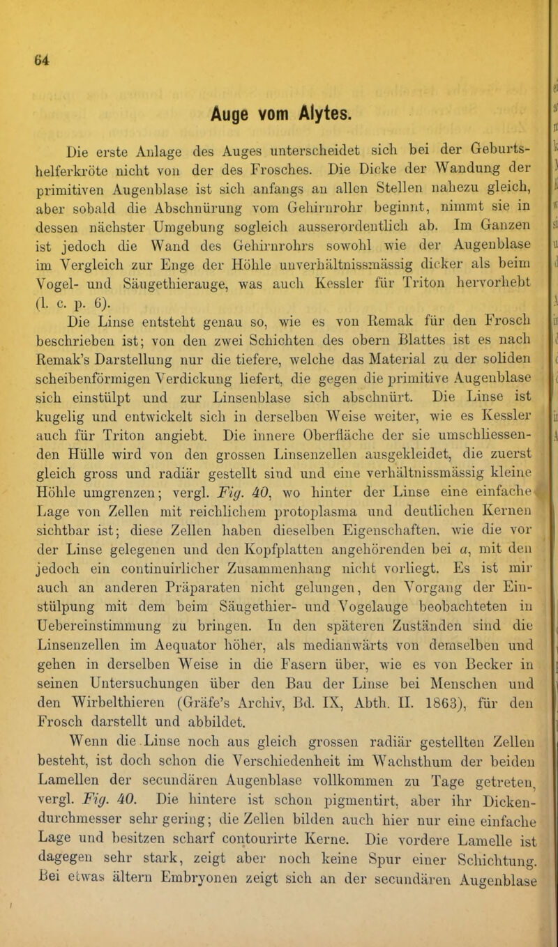 Auge Yom Alytes. Die erste Aiilage des Auges unterscheidet sicli bei der Geburts- helferkrote uicht von der des Frosches. Die Dicke der Wandung der primitiven Augeiiblase ist sich anfangs au alien Stellen nabezu gleich, aber sobald die Abschniirung vom Gehirnrobr beginnt, nimmt sie in dessen naclister Unigebung sogleich ausserordeutlich ab. Im Ganzen ist jedoch die Wand des Gehirnrobrs sowohl wie der Augeublase im Vergleich zur Enge der Hoble unverbaltnissniassig dicker als beini Vogel- und Saiigetbierauge, was audi Kessler fur Triton bervorbebt (1. c. p. 6). Die Linse entstebt genau so, wie es von Remak fiir den Froscb bescbrieben ist; von den zwei Scbichten des obern Blattes ist es iiacb Reniak's Darstellung nur die tiefere, welcbe das Material zu der soliden scbeibenformigen Verdickung liefert, die gegen die primitive Augenblase sicb einstiilpt und zur Linsenblase sicb abscbniirt. Die Linse ist kugelig und entwickelt sicb in derselben Weise weiter, wie es Kessler aucb fiir Triton angiebt. Die innere Oberfliicbe der sie umscbliessen- den Hiille wird von den grossen Linsenzellen ausgekleidet, die zuerst gleicb gross und radiar gestellt sind und eine verbaltnissmassig kleine Hoble umgrenzen; vergl. Fig. 40, wo binter der Linse eine einfacbe Lage von Zellen mit reicblicbem protoj^lasma und deutlicben Kerneii sicbtbar ist; diese Zellen baben dieselben Eigenscbaften, wie die vor der Linse gelegenen und den Kopfplatten angeborenden bei a, mit den jedocb ein continuirlicber Zusammenbang nicbt vorliegt. Es ist mir audi an anderen Praparaten nicbt gelmigen, den Vorgang der Eiii- stiilpung mit dem beim Saugethier- und Vogelauge beobacbteten in Uebereinstimmung zu bringen. Li den spateren Zustanden sind die Linsenzellen im Aequator bolier, als medianwarts von demselbeu und gehen in derselben Weise in die Fasern iiber, wie es von Becker in seinen Untersucbungen iiber den Bau der Linse bei Menschen und den Wirbelthieren (Grafe's Arcliiv, Bd. IX, Abtb. IL 1863), fiir den Froscb darstellt und abbildet. Wenn die . Linse nocb aus gleicb grossen radiar gestellten Zellen bestebt, ist docb scbon die Verscbiedenbeit im Wacbstbum der beiden Lamellen der secundaren Augenblase voUkommen zu Tage getreten, vergl. Fig. 40. Die bintere ist scbon pigmentirt, aber ibr Dicken- durcbraesser sebr gering; die Zellen bilden audi bier nur eine einfacbe Lage und besitzen scbarf contourirte Kerne. Die vordere Laiiielle ist dagegen sebr stark, zeigt aber nocb keine Spur einer Scliicbtung. Bei etwas altern Embryonen zeigt sicb an der secundiii-en Augenblase