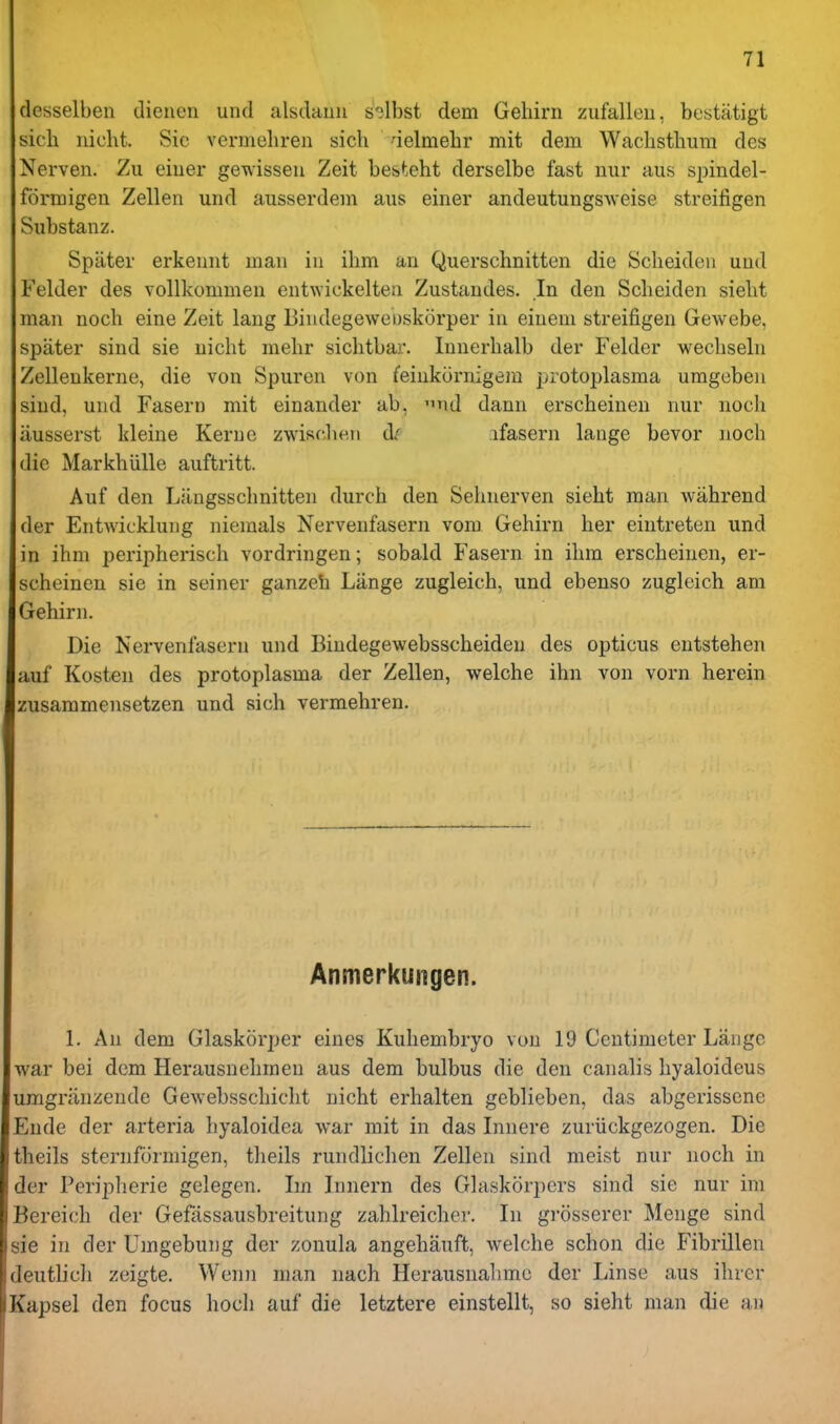 desselben dienen und alsdauii s')lbst dem Geliirn zufalleii, bestiitigt sich nicht. Sic vermeliren sich aelmelir mit dem Waclisthum des Nerven. Zn eiuer gewisseu Zeit besteht derselbe fast iiur aus si^indel- formigeu Zellen und ausserdem aus einer andeutungsAveise streifigen Substanz. Spater erkeunt man in ihm an Querschnitten die Sclieideii und Felder des vollkommen entwickeltea Zustandes. In den Scheiden sieht man noch eine Zeit lang Bindegeweoskorper in einem streifigen Gewebe, spater sind sie nicht melir siclitbar. Innerlialb der Felder wecliseln Zelleukerne, die von Spuren von feinkornigem protoplasma urageben sind, und Fasern mit einander ab, '^tkI dann erscheinen nur noch iiusserst kleine Kerne zwisclie,ii d: ifasern lange bevor noch die Markhiille auftritt. Auf den Liingsschnitten durch den Sehnerven sieht man wiihrend der Entwicklung niemals Nervenfasern vom Gehirn her eintreten und in ihm peripherisch vordringen; sobald Fasern in ihm erscheinen, er- scheinen sie in seiner ganzeh Liinge zugleich, und ebenso zugleich am Gehirn. Die Nervenfasern und Bindegewebsscheiden des opticus entstehen auf Kosten des protoplasma der Zellen, welche ihn von vorn herein zusammensetzen und sich vermehren. Anmerkungen. 1. An dem Glaskorper eines Kuhembryo von 19 Centimeter Lange war bei dem Herausnehmen aus dem bulbus die den canalis hyaloideus umgriinzende Gewebsschicht nicht erhalten geblieben, das abgerissene Eude der arteria hyaloidea war mit in das Innere zuriickgezogen. Die theils sternfiirmigen, tlieils rundlichen Zellen sind meist nur noch in der Peripherie gelegen. Im Innern des Glaskorpers sind sie nur im Bereich der Gefassausbreitung zahlreicher. In grosserer Menge sind sie in der Umgebung der zonula angehauft, welche schon die Fibrillen deutlich zeigte. Wenn man nach Herausnahmc der Linse aus ihrer Kapsel den focus hoch auf die letztere einstellt, so sieht man die an