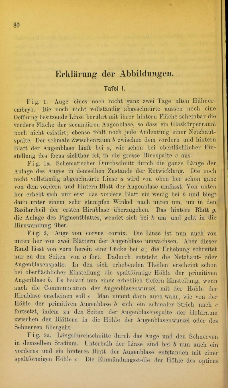 Erklarung der Abbilduugeii. Tafel I. Fig. 1. Auge eines iioch nicht ganz zwei Tage alten Iliilmer- embryo. Die noch nicht vollstanclig abgeschniirte aussen iioch eine OefFniing besitzende Linse beriihrt mit ihrer hintern Flache scheinbar die vordere Flache der secundiiren Augenblase, so dass ein Glask(3rperraum noch nicht existirt; ebenso fehlt noch jede Andeutung einer Netzhaut- spalte. Der schmale Zwischenraum b zwischen dem vordern und hintern Blatt der Augenblase lauft bei a, wie schon bei oberflachlicher Ein- stellung des focus sichtbar ist, in die grosse Hirnspalte c aus. Fig. la. Schematischer Durchschnitt durch die ganze Lange der Anlage des Auges in demselben Zustande der Entwicldung. Die noch nicht vollstiindig abgeschniirte Linse a wird von oben her schon ganz von dem vordern und hintern Blatt der Augenblase umfasst. Von unten her erhebt sich nur erst das vordere Blatt ein wenig bei b und biegt dann unter einem sehr stumpfen Winkel nach unten um, um in den Basilartheil der ersten Hirnblase iiberzugehen. Das hintere Blatt (j, die Anlage des Pigmentblattes, wendet sich bei k um und geht in die Hirnwandung iiber. Fig. 2. Auge von corvus cornix. Die Linse ist nun auch von unten her von zwei Blattern der Augenblase umwachsen. Aber dieser Rand lasst von vorn herein eine Llicke bei a; die Erhebung schreitet nur zu den Seiten von a fort. Dadurch entsteht die Netzhaut- oder Augenblasenspalte. Li den sich erhebenden Theilen erscheint schon bei oberflachlicher Einstellung die spaltformige Hohle der primitiveu Augenblase b. Es bedarf nun einer erhebiich tiefern Einstellung, wenn auch die Communication der Augenblasenwurzel mit der Hohle der Hirnblase erscheinen soli c. Man nimmt dann auch wahr, wie von der Hohle der primitiven Augenblase b sich ein schmaler Strich nach e fortsetzt, indem zu den Seiten der Augenblasenspalte der Hohlraum zwischen den Blattern in die Hiihle der Augenblasenwurzel oder des Sehnerven ilbergeht. F i g. 2a. Langsdurchschnitte durch das Auge und den Sehnerven in demselben Stadium. Unterhalb der Linse sind bei b nun auch ein vorderes und ein hinteres Bhitt der Augenblase entstanden mit einer spaltformigon H(ihle r. Die Eirnniindungsstelle der Hohle des opticus