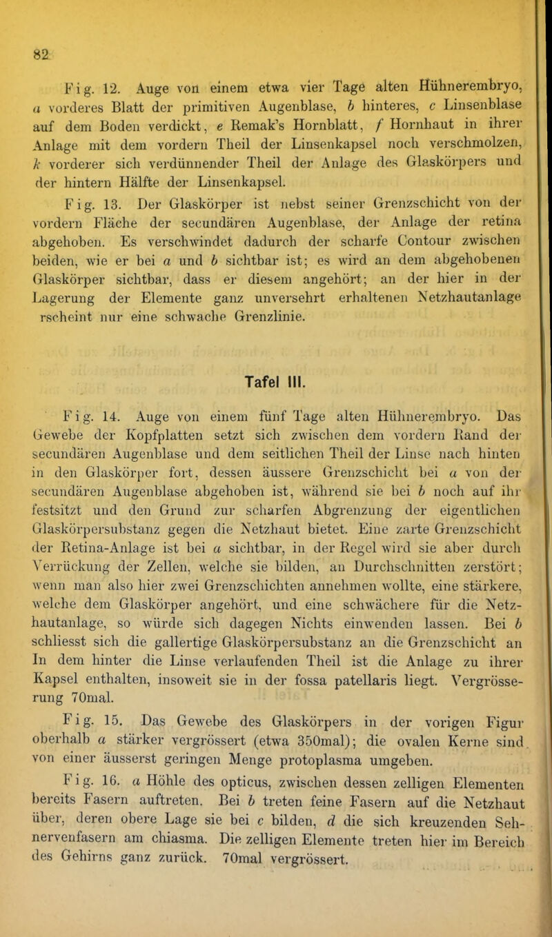 82- Fig. 12. Auge von einem etwa vier Tage alten Hiihnerembryo, a vorderes Blatt der primitiven x-Vugenblase, h hinteres, c Linsenblase auf dem Boden verdickt, e Remak's Hornblatt, / Hornhaut in ihrer Anlage mit dem vordern Theil der Linsenkapsel noch verschmolzen, A vorderer sich verdiinnender Theil der Anlage des Glaskorpers und der hintern Halfte der Linsenkapsel. Fig. 13. Der Glaskcirper ist nebst seiner Grenzschicht von der vordern Flache der secundaren Augenblase, der Anlage der retina abgehoben. Es verschwindet dadurch der scharfe Contour zwischen beiden, wie er bei a und 6 sichtbar ist; es wird an dem abgehobenen Glaskorper sichtbar, dass er diesem angehort; an der hier in der Lagerung der Elemente ganz unversehrt erhalteneii Netzhautanlage rscheint nur eine schwache Grenzlinie. Tafel III. Fig. 14. Auge von einem fiinf Tage alten Hiihnerembryo. Das Gewebe der Kopfplatten setzt sich zwischen dem vordern Rand der secundaren Augenblase und dem seitlichen Theil der Linse nach hinten in den Glaskorper fort, dessen aussere Grenzschiclit bei a von der secundaren Augenblase abgehoben ist, wahrend sie bei h noch auf ihr festsitzt und den Grund zur scharfen Abgrenzung der eigentlichen Glaskorpersul)stanz gegen die Netzhaut bietet. Eine zarte Grenzschiclit der Retina-Anlage ist bei a sichtbar, in der Regel wird sie aber durch Verriickung der Zellen, welche sie bilden, an Durchschnitten zerstort; wenn man also hier zwei Grenzschichten annehmen woUte, eine starkere, welche dem Glaskorper angehort, und eine schwachere fiir die Netz- hautanlage, so wiirde sich dagegen Nichts einwenden lassen. Bei h schliesst sich die gallertige Glaskorpersubstanz an die Grenzschiclit an In dem hinter die Linse verlaufenden Theil ist die Anlage zu ihrer Kapsel enthalten, insoweit sie in der fossa patellaris liegt. Vergrosse- rung 70mal. Fig. 15. Das Gewebe des Glaskorpers in der vorigen Figur oberhalb a starker vergrossert (etwa 350mal); die ovalen Kerne sind von einer ausserst geringen Menge protoplasma umgeben. Fig. 16. a Hohle des opticus, zwischen dessen zelligen Elementen bereits Fasern auftreten. Bei h treten feine Fasern auf die Netzhaut iiber, deren obere Lage sie bei c bilden, d die sich kreuzenden Seh- nervenfasern am chiasma. Die zelligen Elemente treten hier im Bereich des Gehirns ganz zuriick. 70mal vergrossert.