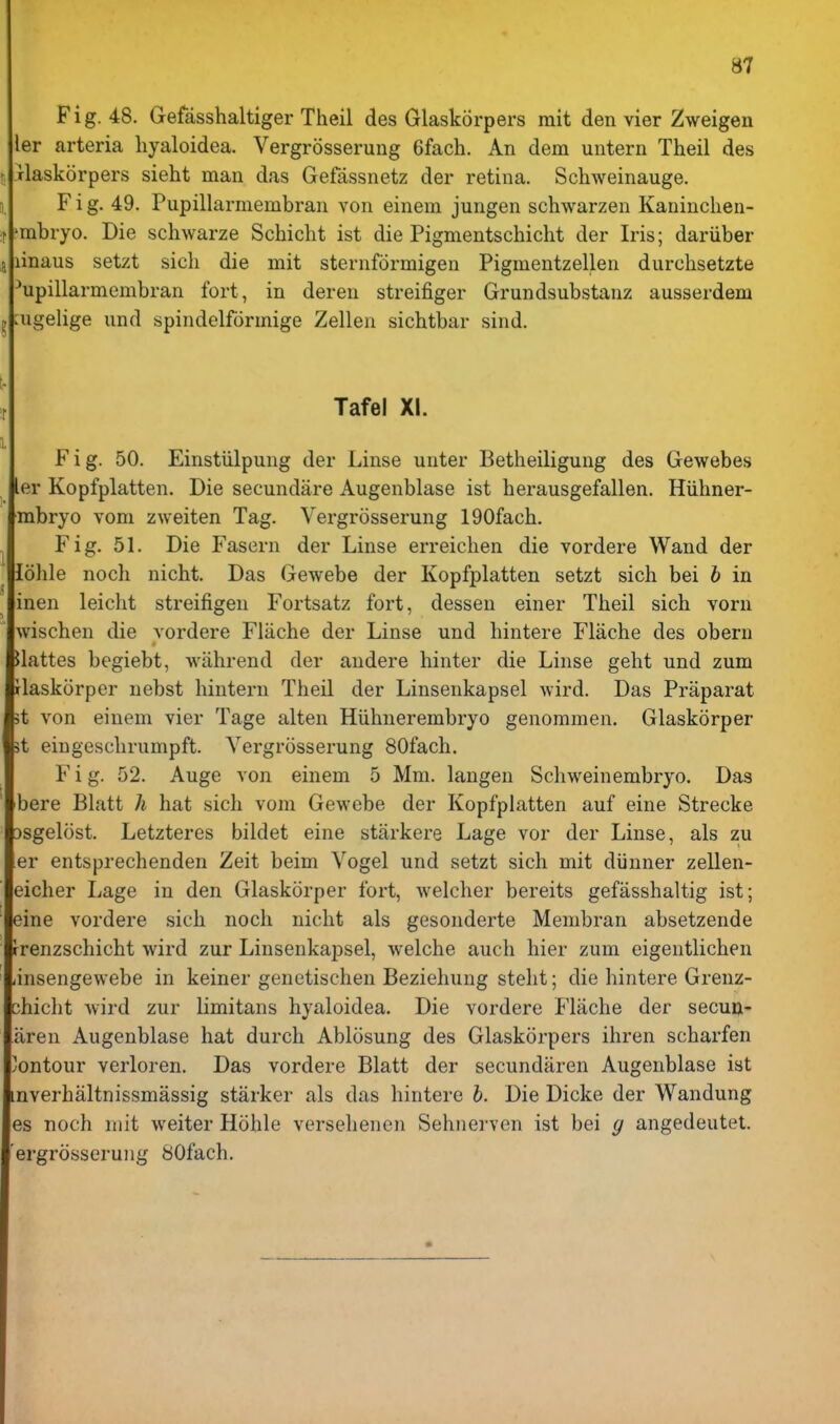 Fig. 48. Gefasshaltiger Theil des Glaskorpers rait den vier Zweigen ler arteria liyaloidea. Vergrosserung 6fach. An dem untern Theil des I jlaskorpers sieht man das Gefassnetz der retina. Schweinauge. 5 Fig. 49. Pupillarmembran von einem jungen schwarzen Kaninclien- r 'mbryo. Die schwarze Schicht ist die Pigmentschicht der Iris; dariiber 5 linaus setzt sicli die mit sternformigen Pigmentzellen diirchsetzte ^upillarmembran fort, in deren streifiger Grundsubstanz ausserdem ^ aigelige und spindelformige Zellen sichtbar sind. t- r Tafel XI. Fig. 50. Einstiilpung der Linse unter Betheiligung des Gewebes ler Kopfplatten. Die secundare Augenblase ist herausgefallen. Hiihner- mbryo voni zweiten Tag. Vergrosserung 190fach. Fig. 51. Die Fasern der Linse erreichen die vordere Wand der lolile noch nicht. Das Gewebe der Kopfplatten setzt sich bei b in inen leicht streifigen Fortsatz fort, desseu einer Theil sich vorn wischen die vordere Fliiche der Linse und hintere Flache des obern Uattes begiebt, wiihrend der audere hinter die Linse geht und zum rlaskorper nebst hintern Theil der Linsenkapsel wird. Das Praparat 3t von einem vier Tage alten Hiihnerembryo genommen. Glaskorper it eingeschrumpft. Vergrosserung 80fach. F i g. 52. Auge von einem 5 Mm. langen Schweinembryo. Das bere Blatt h hat sich vom Gewebe der Kopfplatten auf eine Strecke Dsgelost. Letzteres bildet eine stiirkere Lage vor der Linse, als zu er entsprechenden Zeit beim Vogel und setzt sich mit diinner zellen- eicher Lage in den Glaskorper fort, welcher bereits gefasshaltig ist; eine vordere sich noch nicht als gesonderte Menibran absetzende rrenzschicht wird zur Linsenkapsel, welche auch hier zum eigentlichen jnsengewebe in keiner genetischen Beziehung steht; die hintere Grenz- chicht wird zur limitans hyaloidea. Die vordere Flache der secuu- aren Augenblase hat durch Abltisung des Glaskorpers ihren scharfen 'ontour verloren. Das vordere Blatt der secundaren Augenblase ist inverhaltnissmassig starker als das hintere b. Die Dicke der Wandung es noch mit weiter Hohle versehenen Sehnei-ven ist bei g angedeutet. ergrosseruiig SOfach.