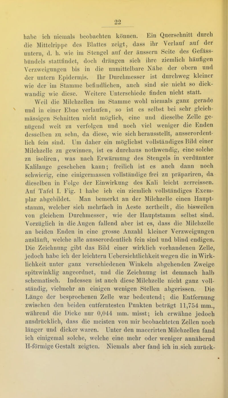 habe ich niemals beobachten können. Ein Querschnitt durch die Mittelrippe des Blattes zeigt, dass ihr Verlauf auf dei untern, d. h. wie im Stengel auf der äussern Seite des Gefäss- bündels stattfindet, doch drängen sich ihre ziemlich häufigen Verzweigungen bis in die unmittelbare Nähe der obern und der untern Epideruqis. Ihr Durchmesser ist durchweg kleiner wie der im Stamme befindlichen, auch sind sie nicht so dick- wandig wie diese. Weitere Unterschiede finden nicht statt. Weil die Milchzellen im Stamme wohl niemals ganz gerade und in einer Ebne verlaufen, so ist es selbst bei sehr gleich- mässigen Schnitten nicht möglich, eine und dieselbe Zelle ge- nügend weit zu verfolgen und noch viel weniger die Enden desselben zu sehn, da diese, wie sich herausstellt, ausserordent- lich fein sind. Um daher ein möglichst vollständiges Bild einer Milchzelle zu gewinnen, ist es durchaus nothwendig, eine solche zu isoliren, was nach Erwärmung des Stengels in verdünnter Kalilauge geschehen kann; freilich ist es auch dann noch schwierig, eine einigermassen vollständige frei zu präpariren, da dieselben in Folge der Einwirkung des Kali leicht zerreissen. Aut Tafel I. Fig. 1 habe ich ein ziemlich vollständiges Exem- plar abgebildet. Man bemerkt an der Milchzelle einen Haupt- stamm, welcher sich mehrfach in Aeste zertheilt, die bisweilen von gleichem Durchmesser, wie der Ilauptstainm selbst sind. Vorzüglich in die Augen fallend aber ist es, dass die Milchzelle an beiden Enden in eine grosse Anzahl kleiner Verzweigungen ausläuft, welche alle ausserordentlich fein sind und blind endigen. Die Zeichnung gibt das Bild einer wirklich vorhandenen Zelle, jedoch habe ich der leichtern Uebersichtlichkeit wegen die in Wirk- lichkeit unter ganz verschiedenen Winkeln abgehenden Zweige spitzwinklig angeordnet, und die Zeichnung ist demnach halb schematisch. Indessen ist auch diese Milchzelle nicht ganz voll- ständig, vielmehr an einigen wenigen Stellen abgerissen. Die Länge der besprochenen Zelle war bedeutend; die Entfernung zwischen den beiden entferntesten Punkten beträgt 11,754 mm., während die Dicke nur 0,044 mm. misst; ich erwähne jedoch ausdrücklich, dass die meisten von mir beobachteten Zellen noch länger und dicker waren. Unter den macerirten Milchzellen fand ich einigemal solche, welche eine mehr oder weniger annähernd H-fürmige Gestalt zeigten. Niemals aber fand ich in.sich zurück-