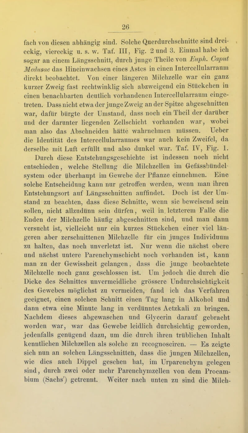 fach von diesen abhängig sind. Solche Querdurchschnitte sind drei- eckig, viereckig u. s. w. Taf. III, Fig. 2 und 3. Einmal habe ich sogar an einem Längsschnitt, durch junge Thcilevon Huph. Caput Medusae das Hineinwachsen eines Astes in einen Intercellularraum direkt beobachtet. Von einer längeren Milchzelle war ein ganz kurzer Zweig fast rechtwinklig sich abzweigend ein Stückchen in einen benachbarten deutlich vorhandenen Intercellularraum einge- treten. Dass nicht etwa der junge Zweig an der Spitze abgeschnitten war, dafür bürgte der Umstand, dass noch ein Theil der darüber and der darunter liegenden Zellschicht vorhanden war, wobei man also das Abschneiden hätte wahrnehmen müssen. Ueber die Identität des Intercellularraumes war auch kein Zweifel, da derselbe mit Luft erfüllt und also dunkel war. Taf. IV, Fig. 1. Durch diese Entstehungsgeschichte ist indessen noch nicht entschieden, welche Stellung die Milchzellen im GefässbündeP System oder überhaupt im Gewebe der Pflanze einnehmen. Eine solche Entscheidung kann nur getroffen werden, wenn man ihren Entstehungsort auf Längsschnitten auffindet. Doch ist der Um- stand zu beachten, dass diese Schnitte, wenn sie beweisend sein sollen, nicht allzudünn sein dürfen, weil in. letzterem Falle die Enden der Milchzelle häufig abgeschnitten sind, und man dann versucht ist, vielleicht nur ein kurzes Stückchen einer viel län- geren aber zerschnittenen Milchzelle für ein junges Individuum zu halten, das noch unverletzt ist. Nur wenn die nächst obere und nächst untere Parenchymschicht noch vorhanden ist, kann man zu der Gewissheit gelangen, dass die junge beobachtete Milchzelle noch ganz geschlossen ist. Um jedoch die durch die Dicke des Schnittes unvermeidliche grössere Undurchsichtigkeit des Gewebes möglichst zu vermeiden, fand ich das Verfahren geeignet, einen solchen Schnitt einen Tag lang in Alkohol und dann etwa eine Minute lang in verdünntes Aetzkali zu bringen. Nachdem dieses abgewaschen und Glycerin darauf gebracht worden war, war das Gewebe leidlich durchsichtig geworden, jedenfalls genügend dazu, um die durch ihren trüblichen Inhalt kenntlichen Milchzellen als solche zu recognosciren. — Es zeigte sich nun an solchen Längsschnitten, dass die jungen Milchzellen, wie dies auch Dippel gesehen hat, im Urpareucbym gelegen sind, durch zwei oder mehr Parenchymzellen von dem Procam- bium (Sachs’) getrennt. Weiter nach unten zu sind die Milch-