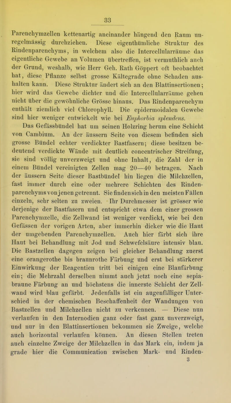 Parenchymzellen kettenartig aneinander hängend den Raum un- regelmässig durchziehen. Diese eigentümliche Struktur des Rindenparenchyms, in welchem also die Intercellularräume das eigentliche Gewebe an Volumen übertreffen, ist vermuthlich auch der Grund, weshalb, wie Herr Geh. Rath Göppert oft beobachtet hat, diese Pflanze selbst grosse Kältegrade ohne Schaden aus- lialten kann. Diese Struktur ändert sich an den Blattinsertionen; hier wird das Gewebe dichter und die Intercellularräume gehen nicht über die gewöhnliche Grösse hinaus. Das Rindenparenchym enthält ziemlich viel Chlorophyll. Die epidermoidalen Gewebe sind hier weniger entwickelt wie bei Euphorbia splendens. Das Gefässbündel hat um seinen Holzring herum eine Schicht von Cambium. An der äussern Seite von diesem befinden sich grosse Bündel echter verdickter Bastfasern; diese besitzen be- deutend verdickte Wände mit deutlich concentrischer Streifung, sie sind völlig unverzweigt und ohne Inhalt, die Zahl der in einem Bündel vereinigten Zellen mag 20—40 betragen. Nach der äussern Seite dieser Bastbündel hin liegen die Milchzellen, fast immer durch eine oder mehrere Schichten des Rinden- parenchyms von jenen getrennt. Sie finden sich in den meistenFällen einzeln, sehr selten zu zweien. Ihr Durchmesser ist grösser wie derjenige der Bastfasern und entspricht etwa dem einer grossen Parenchymzelle, die Zellwand ist weniger verdickt, wie hei den Gefässen der vorigen Arten, aber immerhin dicker wie die Haut der umgebenden Parenchymzellen. Auch hier färbt sich ihre Haut bei Behandlung mit Jod und Schwefelsäure intensiv blau. Die Bastzellen dagegen zeigen bei gleicher Behandlung zuerst eine orangerothe bis braunrothe Färbung und erst bei stärkerer Einwirkung der Reagentien tritt bei einigen eine Blaufärbung ein; die Mehrzahl derselben nimmt auch jetzt noch eine sepia- braune Färbung an und höchstens die innerste Schicht der Zell- wand wird blau gefärbt. Jedenfalls ist ein augenfälliger Unter- schied in der chemischen Beschaffenheit der Wandungen von Bastzellen und Milchzellen nicht zu verkennen. — Diese nun verlaufen in den Internodien ganz oder fast ganz unverzweigt, und nur in den Blattinsertionen bekommen sie Zweige, welche auch horizontal verlaufen können. An diesen Stellen treten auch einzelne Zweige der Milchzellen in das Mark ein, indem ja grade hier die Communication zwischen Mark- und Rinden- 3