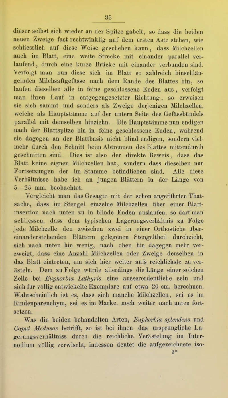 dieser selbst sich wieder an der Spitze gabelt, so dass die beiden neuen Zweige fast rechtwinklig auf dem ersten Aste stehen, wie schliesslich auf diese Weise geschehen kann , dass Milchzellen auch im Blatt, eine weite Strecke mit einander parallel ver- laufend , durch eine kurze Brücke mit einander verbunden sind. Verfolgt man nun diese sich im Blatt so zahlreich hinschlän- geluden Milchsaftgefässe nach dem Rande des Blattes hin, so laufen dieselben alle in feine geschlossene Enden aus , verfolgt man ihren Lauf in entgegengesetzter Richtung, so erweisen sie sich sammt und sonders als Zweige derjenigen Milchzellen, welche als Hauptstämme auf der untern Seite des Gefässbündels parallel mit demselben hinziehn. Die Hauptstämme nun endigen nach der Blattspitze hin in feine geschlossene Enden, während sie dagegen an der Blattbasis nicht blind endigen, sondern viel- mehr durch den Schnitt beim Abtrennen des Blattes mittendurch geschnitten sind. Dies ist also der direkte Beweis, dass das Blatt keine eignen Milchzellen hat, sondern dass dieselben nur Fortsetzungen der im Stamme befindlichen sind. Alle diese Verhältnisse habe ich an jungen Blättern in der Länge von 5—25 mm. beobachtet. Vergleicht man das Gesagte mit der schon angeführten Tbat- sache, dass im Stengel einzelne Milchzellen über einer Blatt- insertion nach unten zu in blinde Enden auslaufen, so darf man schliessen, dass dem typischen Lagerungsverhältnis zu Folge jede Milchzelle den zwischen zwei in einer Orthostiche über- einanderstehenden Blättern gelegenen Stengeltlieil durchzieht, sich nach unten hin wenig, nach oben hin dagegen mehr ver- zweigt, dass eine Anzahl Milchzellen oder Zweige derselben in das Blatt eintreten, um sich hier weiter aufs reichlichste zu ver- ästeln. Dem zu Folge würde allerdings die Länge einer solchen Zelle bei Euphorbia Lathyris eine ausserordentliche sein und sich für völlig entwickelte Exemplare auf etwa 20 cm. berechnen. Wahrscheinlich ist es, dass sich manche Milchzellen, sei es im Rindenparenchym, sei es im Marke, noch weiter nach unten fort- setzen. Was die beiden behandelten Arten, Euphorbia splendens und Caput Medusae betrifft, so ist bei ihnen das ursprüngliche La- gerungsverhältniss durch die reichliche Verästelung im Iuter- nodium völlig verwischt, indessen deutet die aufgezeichnete iso- 3*