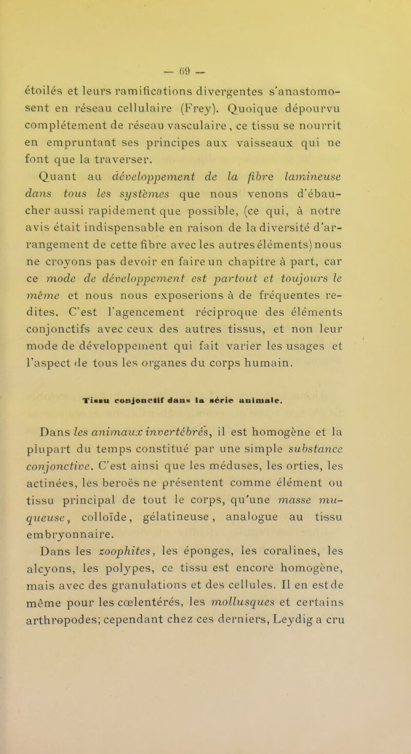 étoilés et leurs ramifications divergentes s’anastomo- sent en réseau cellulaire (Frey). Quoique dépourvu complètement de réseau vasculaire, ce tissu se nourrit en empruntant ses principes aux vaisseaux qui ne font que la traverser. Quant au développement de la fibre lamineuse dans tous les systèmes que nous venons d’ébau- cher aussi rapidement que possible, (ce qui, à notre avis était indispensable en raison de la diversité d’ar- rangement de cette fibre avec les autres éléments) nous ne croyons pas devoir en faire un chapitre à part, car ce mode de développement est partout et toujours le même et nous nous exposerions à de fréquentes re- dites. C’est l’agencement réciproque des éléments conjonctifs avec ceux des autres tissus, et non leur mode de développement qui fait varier les usages et l’aspect de tous les organes du corps humain. Tiniu conjonctif dans lu série animale. Dans les animaux invertébrés, il est homogène et la plupart du temps constitué par une simple substance conjonctive. C’est ainsi que les méduses, les orties, les actinées, les beroës ne présentent comme élément ou tissu principal de tout le corps, qu'une masse mu- queuse, colloïde, gélatineuse, analogue au tissu embryonnaire. Dans les zoophites, les éponges, les coralines, les alcyons, les polypes, ce tissu est encore homogène, mais avec des granulations et des cellules. Il en est de môme pour les cœlentérés, les mollusques et certains arthropodes; cependant chez ces derniers, Leydig a cru