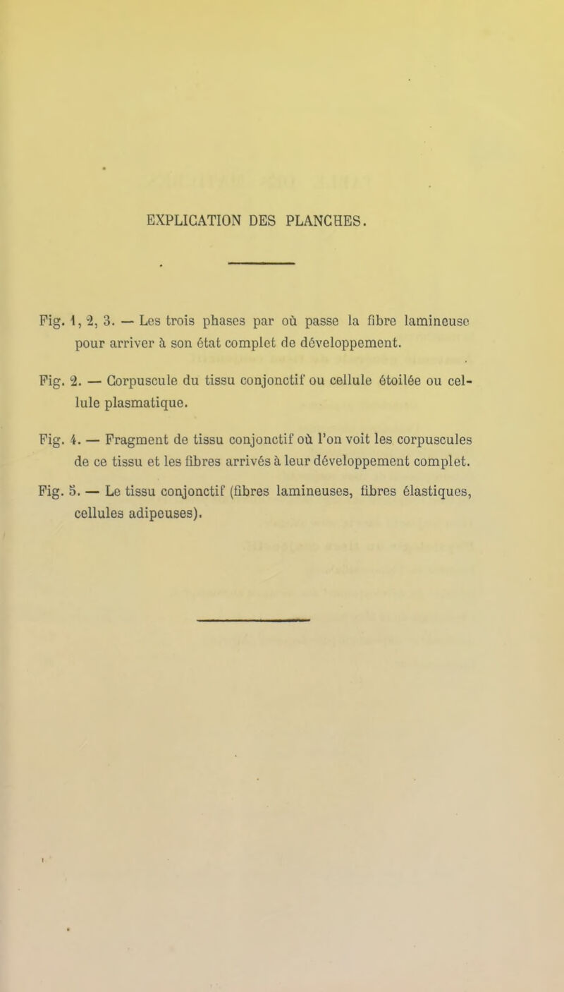 EXPLICATION DES PLANCHES. Fig. 1, 2, 3. — Les trois phases par où passe la fibre lamineuso pour arriver à son état complet de développement. Fig. 2. — Corpuscule du tissu conjonctif ou cellule étoilée ou cel- lule plasmatique. Fig. 4. — Fragment de tissu conjonctif où l’on voit les corpuscules de ce tissu et les fibres arrivés à leur développement complet. Fig. 5. — Le tissu conjonctif (fibres lumineuses, libres élastiques, cellules adipeuses).