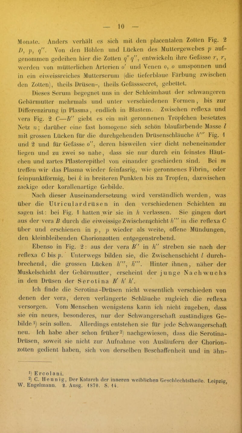 Moiuito. Anders verhält es sich mit den placcnlalen Zotten Fig. 2 7), p, q”. Von den Holden und Lücken des Muttergewebes p auf- gcnoininen gedeihen hier die Zotten q q■, entwickeln ihre Gefässe r, w'erden von inütteiiichen Arterien o' und Venen o, o umsponnen und in ein eiw-eissreiches Multerseruin (die lieferblaue Färbung zwischen den Zotten), theils Drüsen-, Iheils Gefässsecrel, gebettet. Dieses Serum begegnet uns in der Schleimhaut der sclnvangercn Gebärmuller mehrmals und unter verschiedenen Formen, bis zur Differenzirung in Plasma, endlich in Blastem. Zwischen reflexa und vera Fig. 2 C—B giebt es ein mit geronnenen Tröpfchen l)esetztes Netz n; darül)er eine fast homogene sich schon l)laulärbende Masse l mit grossen Lücken für die durchgehenden Drüsenschläuche h' Fig. 1 und 2 und für Gefässe o, deren bisw'eilen vier dicht nebeneinander liegen und zu zwei so nahe, dass sie nur durch ein feinstes Häut- chen und zartes Pllaslerepithel von einander geschieden sind. Bei m treffen wir das Plasma wdeder feinfasrig, wie geronnenes Fibrin, oder feinpunktförmig, bei k in breiteren Punkten bis zu Tropfen, dazwischen zackige oder korallenartige Gebilde. Nach dieser Auseinandersetzung wird verständlich w'erden, was über die Utriculardrüsen in den verschiedenen Schichten zu sagen ist: bei Fig. 1 hatten^vir sie in h verlassen. Sie gingen dort aus der vera B durch die eiweissige Zwischenschicht h'” in die reflexa C über und erschienen in p, p wieder als weite, offene Mündungen, den kleinbleiljenden Chorionzotten entgegenstrebend. Ebenso in Fig. 2: aus der vera B in h streben sie nach der reflexa C bis p.' Unterwegs bilden sie, die Zw ischenschicht l durch- brechend, die grossen Lücken h', li'. Hinter ihnen, näher der Muskelschicht der Gebärmutter, erscheint der junge Nachw^uchs in den Drüsen der Serotina B' h' h'. Ich finde die Serotina-Drüsen nicht wesentlich verschieden von denen der vera, deren verlängerte Schläuche zugleich die reflexa versorgen. Vom Menschen w^enigstens kann ich nicht zugeben, dass sie ein neues, besonderes, nur der Sclwvangerschaft zuständiges Ge- bilde 1) sein sollen. Allerdings entstehen sie für jede Schwangerschaft neu. Ich habe aber schon früher2) nachgewiesen, dass die Serotina- Drüsen, soweit sic nicht zur Aufnahme von Ausläufern der Ghorion- zotlen gedient haben, sich von derselben Beschafl'enheit und in ähn- *) E rCO 1 ani. 2) C. Hennig, Der Katarrh der inneren weihlichen Gesclilcchtstheile. Leipzig W. Engelmann. 2. Ausg. 1870. S. 14.