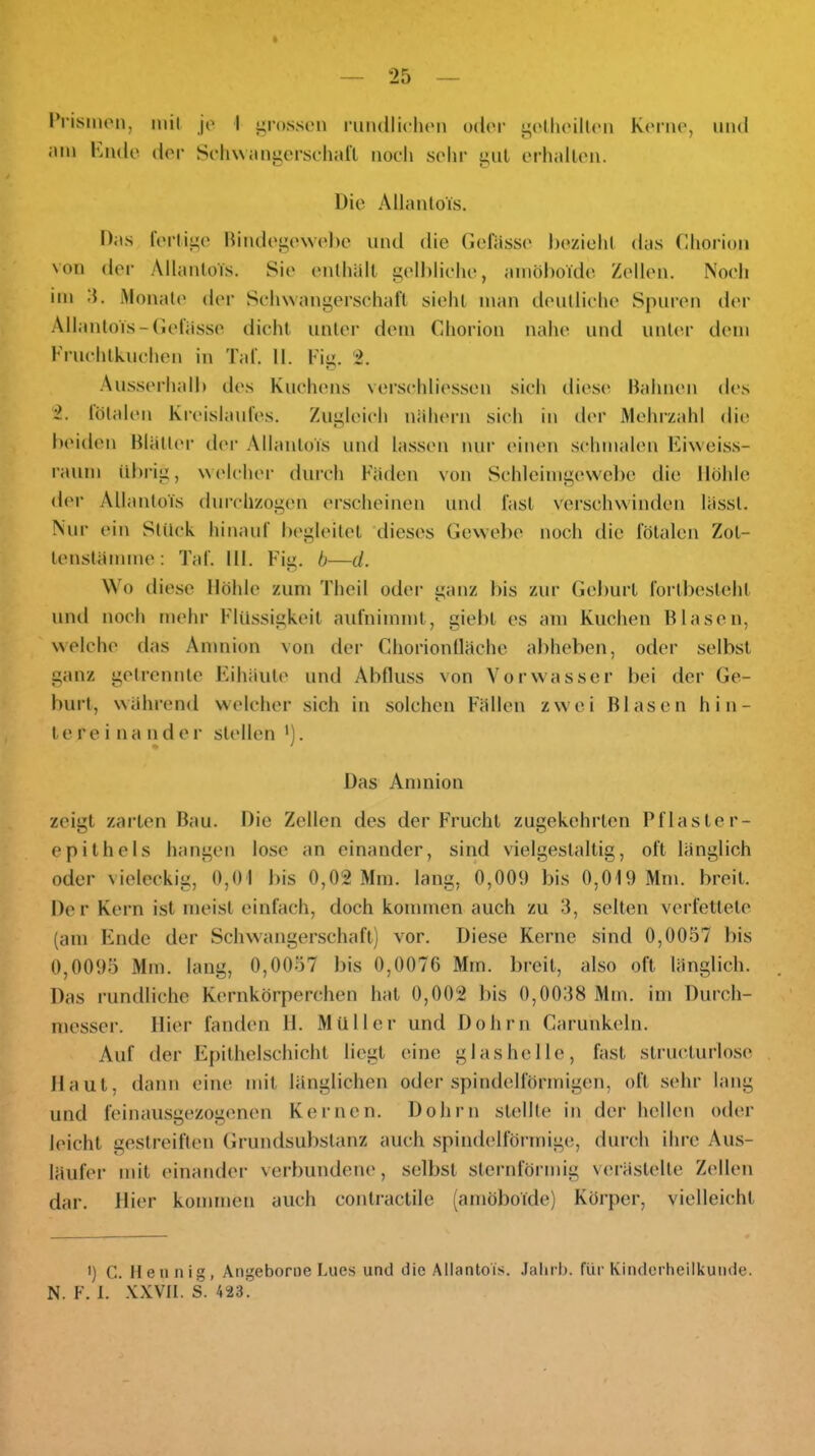 l’risnipn, mil jo 1 grossen i'imdlichon oder ij;odioilloii Korne, und iun Kndo der Soliwiingersohal'l noch sehr gut orhallon. Die Allanlois. Das forligo Hindogo\vol)o und die Gelasse l)eziehl das Chorioii von der Allanlois. Sie onlhiilt golbliclie, ainölioide Zollen. Noch iin d. iMonalo der Schwangerschaft siehl man doiitlicho Spuren der Allanlois-Gelasse dicht unter dem Chorion nahe und unter dem Fruchtkuchen in Tal'. II. Fiu. 2. -Ausserhall) des Kuchens verschliessen sich diese Bahnen des 2. lötalen Kreislaufes. Zugleich nähern sich in der Mehrzahl die beiden Blätter der Allanlois und lassen nur einen schmalen luweiss- rauni übrig, welcher durch Fäden von Schleinigew'ol)e die Höhle der Allanlois durchzogen erscheinen und fast verschwinden lässt. Nur ein Stück hinauf begleitet dieses Gewelie noch die fötalen Zot- tenslännne: Taf. 111. Fig. b—d. Wo diese Höhle zum Theil oder ganz bis zur Geburt fortbesteht und noch mehr Flüssigkeit aufnimmt, giebt es am Kuchen Blasen, welche das Amnion von der Chorionlläche abheben, oder selbst ganz getrennte Fahäute und Abfluss von Vorwasser bei der Ge- burt, während welcher sich in solchen Fällen zwei Blasen hin- tereinander stellen '). • • Das Amnion zeigt zarten Bau. Die Zellen des der F>ucht zugekehrten Pflaster- epithels hangen lose an einander, sind vielgestaltig, oft länglich oder vieleckig, 0,01 bis 0,02 Mm. lang, 0,000 bis 0,019 Mm. breit. Der Kern ist meist einfach, doch kommen auch zu 3, selten verfettete (am Fuidc der Schwangerschaft) vor. Diese Kerne sind 0,0057 bis 0,0095 Mm. lang, 0,0057 bis 0,0076 Mm. breit, also oft länglich. Das rundliche Kernkörperchen hat 0,002 bis 0,0038 Mm. im Durch- messer. Hier fanden H. Müller und Dohrn Carunkeln. Auf der Epithelschicht liegt eine glas he Ile, fast structurlose Haut, dann eine mit länglichen oder spindelförmigen, oft sehr lang und feinausgezogenen Kernen. Dohrn stellte in der hellen oder leicht gestreiften Grundsubslanz auch spindelförmige, durch ihre Aus- läufer mit einander verbundene, selbst sternförmig verästelte Zellen dar. Hier kommen auch conlractile (amöboide) Körper, vielleicht 1) C. Heu nig, Angeborne Lues und die Allanlois. Jalirb. für Kinderheilkunde. N. F. t. .\XVII. S. 423.