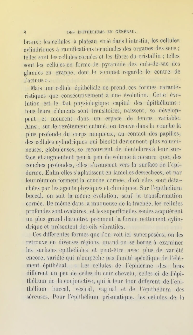braux; les cellules à plateau strié dans l'intestin, les cellules cylindriques à ramifications terminales dos organes des sens; telles sont les cellules cornées et les libres du cristallin ; telles sont les cellules en forme de pyramide des culs-de-sac des glandes en grappe, dont le sommet regarde le centre de l’acinus ». Mais une cellule épithéliale ne prend, ces formes caracté- ristiques que consécutivement à une évolution. Cette évo- lution est le fait physiologique capital des épithéliums : tous leurs éléments sont transitoires, naissent, se dévelop- pent et meurent dans un espace de temps variable. Ainsi, sur le revêtement cutané, on trouve dans la couche la plus profonde du corps muqueux, au contact des papilles, des cellules cylindriques qui bientôt deviennent plus volumi- neuses, globuleuses, se recouvrent de dentelures à leur sur- face et augmentent peu à peu de volume à mesure que, des couches profondes, elles s’avancent vers la surface de l’épi- derme. Enfin elles s’aplatissent en lamelles desséchées, et par leur réunion forment la couche cornée, d’où elles sont déta- chées par les agents physiques et chimiques. Sur l’épithélium buccal, on suit la même évolution, sauf la transformation cornée. De même dans la muqueuse de la trachée, les cellules profondes sont ovalaires, et les superficielles seules acquièrent un plus grand diamètre, prennent la forme nettement cylin- drique et présentent des cils vibratiles. Ces différentes formes que l’on voit ici superposées, on les retrouve en diverses régions, quand on se borne à examiner les surfaces épithéliales et peut-être avec plus de variété encore, variété qui n’empêche pas l’unité spécifique de l’élé- ment épithélial. « Les cellules de l’épiderme des bras diffèrent un peu de celles du cuir chevelu, celles-ci de l’épi- thélium de la conjonctive, qui à leur tour diffèrent de l’épi- thélium buccal, vésical, vaginal et de l’épithélium des séreuses. Pour l’épithélium prismatique, les cellules de la