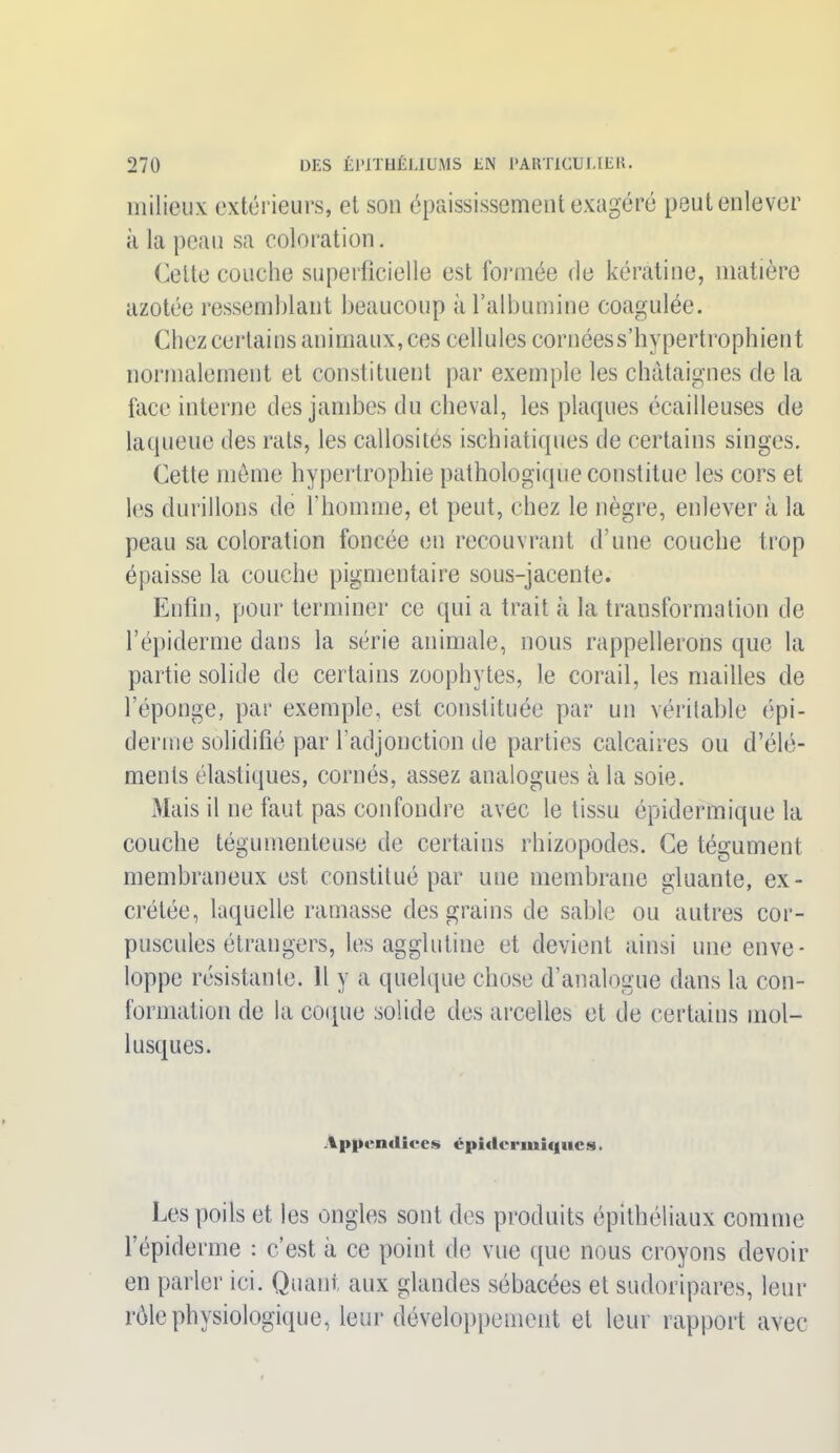 milieux extérieurs, et son épaississement exagéré peut enlever ;i la peau sa coloration. Cette couche superficielle est formée de kératine, matière azotée ressemblant beaucoup à l’albumine coagulée. Chez certains animaux, ces cellules cornéess’hypertrophient normalement et constituent par exemple les châtaignes de la face interne des jambes du cheval, les plaques écailleuses de laqueue des rats, les callosités ischiatiques de certains singes. Cette môme hypertrophie pathologique constitue les cors et les durillons de l’homme, et peut, chez le nègre, enlever à la peau sa coloration foncée en recouvrant d’une couche trop épaisse la couche pigmentaire sous-jacente. Enfin, pour terminer ce qui a trait à la transformation de l’épiderme dans la série animale, nous rappellerons que la partie solide de certains zoophytes, le corail, les mailles de l’éponge, par exemple, est constituée par un véritable épi- derme solidifié par l'adjonction de parties calcaires ou d’élé- ments élastiques, cornés, assez analogues à la soie. Mais il ne faut pas confondre avec le tissu épidermique la couche tégumenteuse de certains rhizopodes. Ce tégument membraneux est constitué par une membrane gluante, ex- crétée, laquelle ramasse des grains de sable ou autres cor- puscules étrangers, les agglutine et devient ainsi une enve- loppe résistante. Il y a quelque chose d'analogue dans la con- formation de la coque solide des arcelles et de certains mol- lusques. Appendices épidermiques. Les poils et les ongles sont des produits épithéliaux comme l’épiderme : c’est à ce point de vue que nous croyons devoir en parler ici. Quant aux glandes sébacées et sudoripares, leur rôle physiologique, leur développement et leur rapport avec