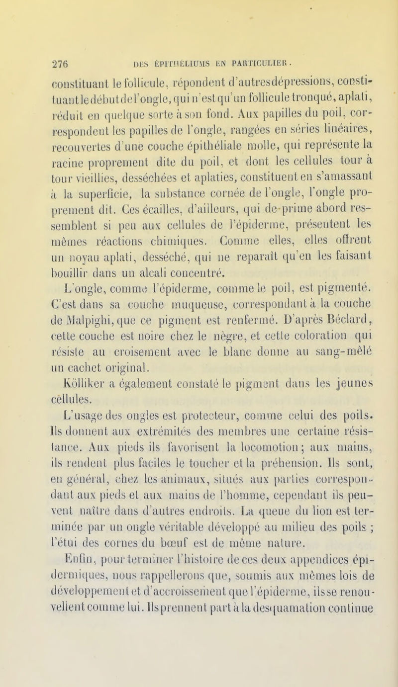 constituant le follicule, répondent d’autresdepressions, consti- fuant le début de l'ongle, qui n’est qu’un follicule tronqué, aplati, réduit en quelque sorte à son fond. Aux papilles du poil, cor- respondent les papilles de l’ongle, rangées en séries linéaires, recouvertes d’une couche épithéliale molle, qui représente la racine proprement dite du poil, et dont les cellules tour à tour vieillies, desséchées et aplaties, constituent en s’amassant ii la superficie, la substance cornée de l’ongle, l’ongle pro- prement dit. Ces écailles, d’ailleurs, qui de-prime abord res- semblent si peu aux cellules de l’épidenne, présentent les mômes réactions chimiques. Comme elles, elles offrent un noyau aplati, desséché, qui ne reparaît qu’en les faisant bouillir dans un alcali concentré. L'ongle, comme l’épiderme, comme le poil, est pigmenté. C’est dans sa couche muqueuse, correspondant à la couche de Malpighi, que ce pigment est renfermé. D’après Béclard, cette couche est noire chez le nègre, et cetle coloration qui résiste au croisement avec le blanc donne au sang-mêlé un cachet original. lvolliker a également constaté le pigment dans les jeunes cellules. L’usage des ongles est protecteur, comme celui des poils. Ils donnent aux extrémités des membres une certaine résis- lance. Aux pieds ils favorisent la locomotion ; aux mains, ils rendent plus faciles le toucher et la préhension. Ils sont, en général, chez les animaux, situés aux parties correspon- dant aux pieds et aux mains de l’homme, cependant ils peu- vent naître dans d’autres endroits. La queue du lion est ter- minée par un ongle véritable développé au milieu des poils ; l’étui des cornes du bœuf est de même nature. Enfin, pour terminer l’histoire de ces deux appendices épi- dermiques, nous rappellerons que, soumis aux mêmes lois de développement et d’accroissement que l’épiderme, fisse renou- vellentcomme lui. llsprennent partit la desquamation continue