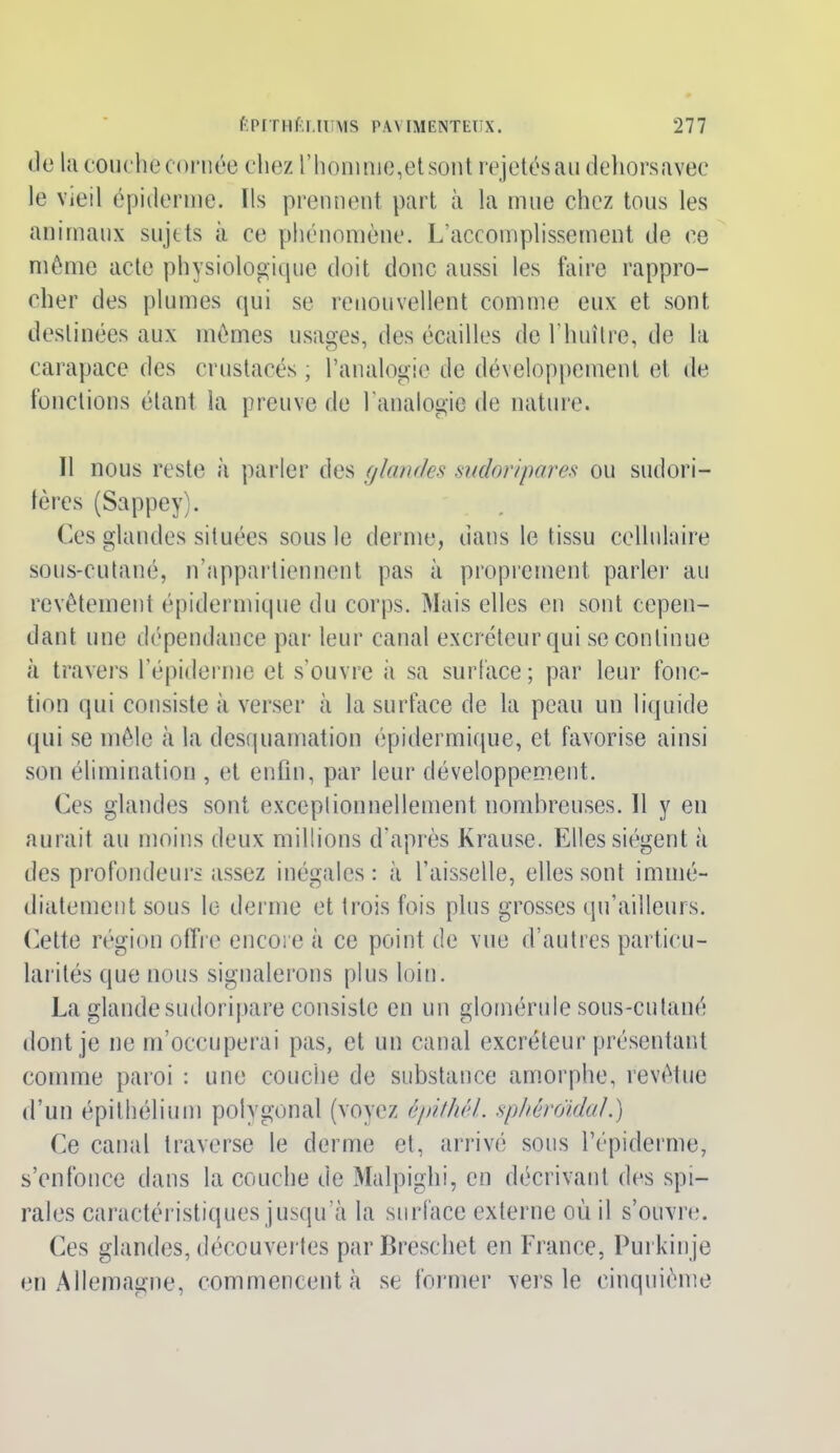 de la couche cornée chez l'homme,etsont rejetés au dehorsavec le vieil épiderme. Ils prennent part à la mue chez tous les animaux sujets à ce phénomène. L’accomplissement de ce même acte physiologique doit donc aussi les faire rappro- cher des plumes qui se renouvellent comme eux et sont destinées aux mêmes usages, des écailles de l’huître, de la carapace des crustacés ; l’analogie de développement et de fonctions étant la preuve de 1 analogie de nature. Il nous reste à parler des (/landes sudoripares ou sudori- fères (Sappey). Ces glandes situées sous le derme, dans le tissu cellulaire sous-cutané, n’appartiennent pas à proprement parler au revêtement épidermique du corps. Mais elles en sont cepen- dant une dépendance par leur canal excréteur qui se continue à travers l’épiderme et s’ouvre à sa surface ; par leur fonc- tion qui consiste à verser à la surface de la peau un liquide qui se mêle à la desquamation épidermique, et favorise ainsi son élimination , et enfin, par leur développement. Ces glandes sont exceptionnellement nombreuses. Il y en aurait au moins deux millions d’après Krause. Elles siègent à des profondeurs assez inégales: à l’aisselle, elles sont immé- diatement sous le derme et trois fois plus grosses qu’ailleurs. Cette région offre encore à ce point de vue d’autres particu- larités que nous signalerons plus loin. La glandesudoripare consiste en un glornérule sous-cutané dont je ne m’occuperai pas, et un canal excréteur présentant comme paroi : une couche de substance amorphe, revêtue d’un épithélium polygonal (voyez épithél. sphêroïdal.) Ce canal traverse le derme et, arrivé sous l’épiderme, s’enfonce dans la couche de Malpighi, en décrivant des spi- rales caractéristiques jusqu’à la surface externe où il s’ouvre. Ces glandes, découvertes parBreschet en France, Purkinje en Allemagne, commencent à se former vers le cinquième