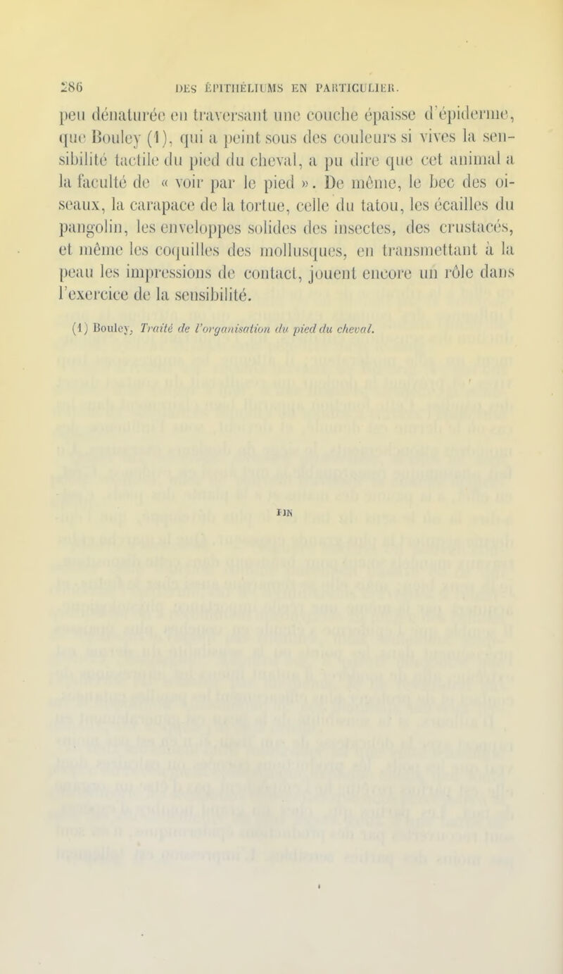 lieu dénaturée en traversant une couche épaisse d’épiderme, que Bouley (1), qui a peint sous des couleurs si vives la sen- sibilité tactile du pied du cheval, a pu dire que cet animal a la faculté de « voir par le pied ». De môme, le bec des oi- seaux, la carapace de la tortue, celle du tatou, les écailles du pangolin, les enveloppes solides des insectes, îles crustacés, et même les coquilles des mollusques, en transmettant à la peau les impressions de contact, jouent encore un rôle dans l’exercice de la sensibilité. (1) Bouley, Traité de Vorganisation du pied du cheval. i iis 4