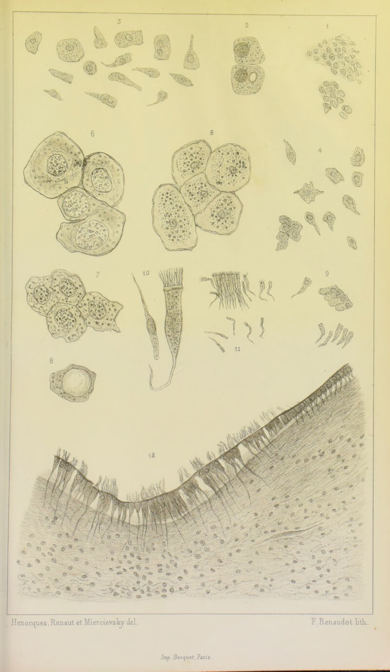 3 2 1 Henocques, Renaut et Miercievsky del. R.Renaudol lith. Imp. Becyuet.Paris.