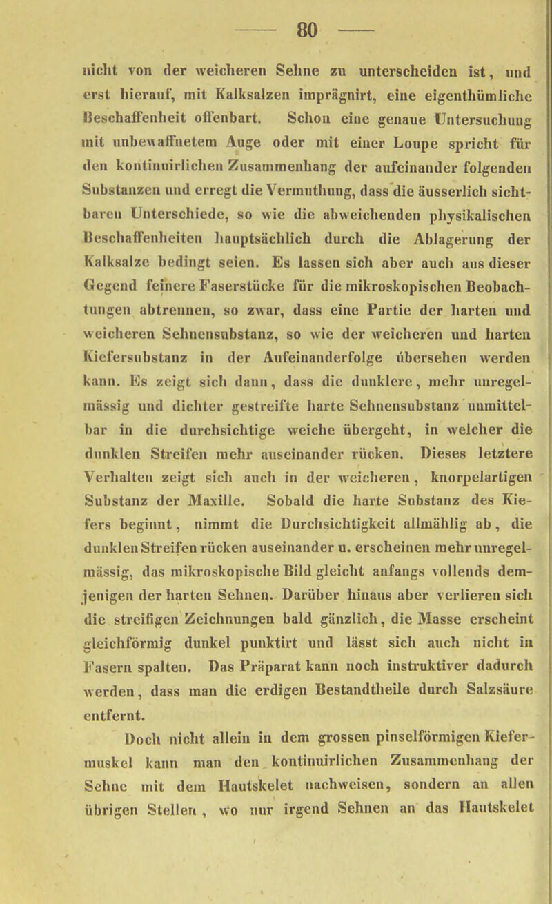 nicht von der weicheren Sehne zu unterscheiden ist, und erst hierauf, mit Kalksalzen imprägnirt, eine eigenthümliehe Beschaffenheit offenbart. Schon eine genaue Untersuchung mit unbewaffnetem Auge oder mit einer Loupe spricht für den kontinuirlichen Zusammenhang der aufeinander folgenden Substanzen und erregt die Vermuthung, dass die äusserlich sicht- baren Unterschiede, so wie die abweichenden physikalischen Beschaffenheiten hauptsächlich durch die Ablagerung der Kalksalze bedingt seien. Es lassen sich aber auch aus dieser Gegend feinere Faserstücke für die mikroskopischen Beobach- tungen abtrennen, so zwar, dass eine Partie der harten und weicheren Sehuensubstanz, so wie der weicheren und harten Kiefersubstanz in der Aufeinanderfolge übersehen werden kann. Es zeigt sich dann, dass die dunklere, mehr unregel- mässig und dichter gestreifte harte Sehnensubstanz unmittel- bar in die durchsichtige weiche übergeht, in welcher die dunklen Streifen mehr auseinander rücken. Dieses letztere Verhalten zeigt sich auch in der weicheren, knorpelartigen Substanz der Maxille. Sobald die harte Substanz des Kie- fers beginnt, nimmt die Durchsichtigkeit allmählig ab, die dunklen Streifen rücken auseinander u. erscheinen mehr unregel- mässig, das mikroskopische Bild gleicht anfangs vollends dem- jenigen der harten Sehnen- Darüber hinaus aber verlieren sich die streifigen Zeichnungen bald gänzlich, die Masse erscheint gleichförmig dunkel punktirt und lässt sich auch nicht in Fasern spalten. Das Präparat kann noch instruktiver dadurch werden, dass man die erdigen Bestandtheile durch Salzsäure entfernt. Doch nicht allein in dem grossen pinselförmigen Kiefer- muskel kann man den kontinuirlichen Zusammenhang der Sehne mit dem Hautskelet nachweisen, sondern an allen übrigen Stellen , wo nur irgend Sehnen an das Hautskelet