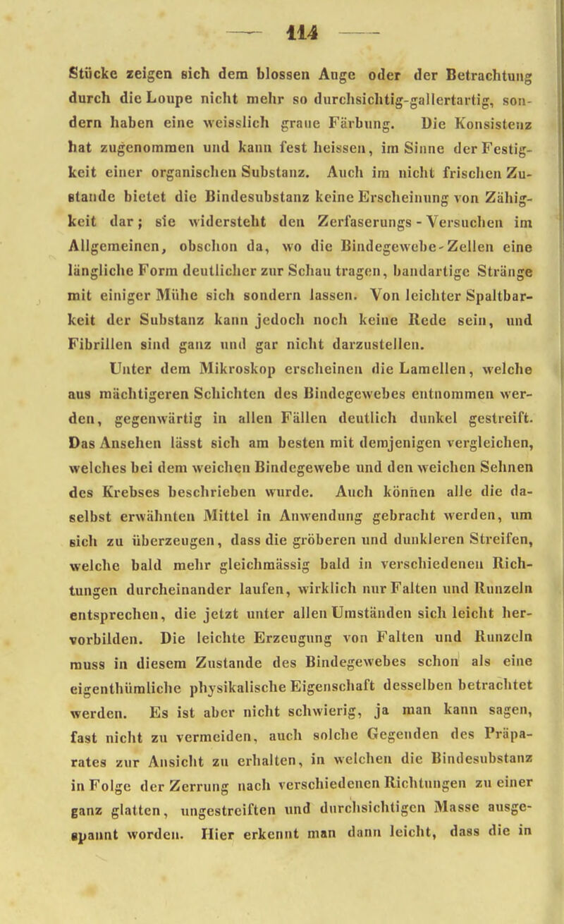 Stücke zeigen Bich dem blossen Auge oder der Betrachtung durch die Loupe nicht mehr so durchsichtig-gallertartig, son- dern haben eine weisslich graue Färbung. Die Konsistenz hat zugenommen und kann fest heissen, im Sinne der Festig- keit einer organischen Substanz. Auch im nicht frischen Zu- Btaude bietet die Bindesubstanz keine Erscheinung von Zähig- keit dar; sie widersteht den Zerfaserungs - Versuchen im Allgemeinen, obschon da, wo die Bindegewebe-Zellen eine längliche Form deutlicher zur Schau tragen, bandartige Stränge mit einiger Mühe sich sondern lassen. Von leichter Spaltbar- keit der Substanz kann jcdocli noch keine Rede sein, und Fibrillen sind ganz und gar nicht darzustellen. Unter dem Mikroskop erscheinen die Lamellen, welche aus mächtigeren Schichten des Bindegewebes entnommen wer- den, gegenwärtig in allen Fällen deutlich dunkel gestreift. Das Ansehen lässt sich am besten mit demjenigen vergleichen, welches bei dem weichen Bindegewebe und den weichen Sehnen des Krebses beschrieben wurde. Auch können alle die da- selbst erwähnten Mittel in Anwendung gebracht werden, um sich zu überzeugen, dass die gröberen und dunkleren Streifen, welche bald mehr gleichraässig bald in verschiedenen Rich- tungen durcheinander laufen, wirklich nur Falten und Runzeln entsprechen, die jetzt unter allen Umständen sich leicht her- vorbilden. Die leichte Erzeugung von Falten und Runzeln muss in diesem Zustande des Bindegewebes schon als eine eigenthümliche physikalische Eigenschaft desselben betrachtet werden. Es ist aber nicht schwierig, ja man kann sagen, fast nicht zu vermeiden, auch solche Gegenden des Präpa- rates zur Ansicht zu erhalten, in welchen die Bindesubstana in Folge der Zerrung nach verschiedenen Richtungen zu einer ganz glatten, nngestreiften und durchsichtigen Masse ausge- spannt worden. Hier erkennt man dann leicht, dass die in