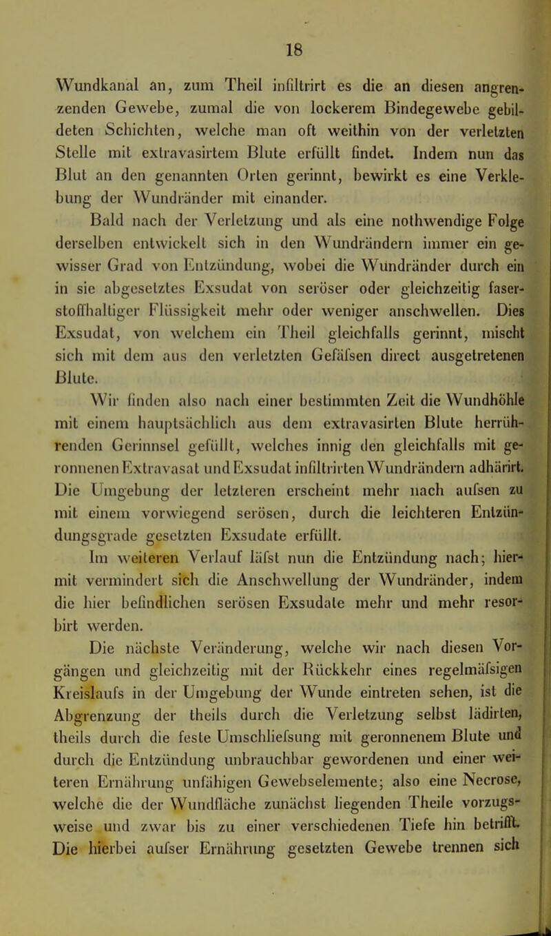 Wundkanal an, zum Theil infiltrirt es die an diesen angren- zenden Gewebe, zumal die von lockerem Bindegewebe gebil- deten Schichten, welche man oft weithin von der verletzten Stelle mit extravasalem Blute erfüllt findet. Indem nun das Blut an den genannten Orten gerinnt, bewirkt es eine Verkle- bung der Wundränder mit einander. Bald nach der Verletzung und als eine nothwendige Folge derselben entwickelt sich in den Wundrändern immer ein ge- wisser Grad von Entzündung, wobei die Wundränder durch ein in sie abgesetztes Exsudat von seröser oder gleichzeitig faser- stoffhaltigcr Flüssigkeit mehr oder weniger anschwellen. Dies Exsudat, von welchem ein Theil gleichfalls gerinnt, mischt sich mit dem aus den verletzten Gefäfsen direct ausgetretenen Blute. Wir linden also nach einer bestimmten Zeit die Wundhöhle mit einem hauptsächlich aus dem extravasalen Blute herrüh- renden Gerinnsel gefüllt, welches innig den gleichfalls mit ge- ronnenen Extravasat und Exsudat infiltrirten Wundrändern adhärirt. Die Umgebung der letzteren erscheint mehr nach aufsen zu mit einem vorwiegend serösen, durch die leichteren Enlzün- dungsgrade gesetzten Exsudate erfüllt. Im weiteren Verlauf läfst nun die Entzündung nach; hier- mit vermindert sich die Anschwellung der Wundränder, indem die hier befindlichen serösen Exsudate mehr und mehr resor- birt werden. Die nächste Veränderung, welche wir nach diesen Vor- gängen und gleichzeitig mit der Rückkehr eines regelmäfsigen Kreislaufs in der Umgebung der Wunde eintreten sehen, ist die Abgrenzung der theils durch die Verletzung selbst lädirlen, theils durch die feste Umschliefsung mit geronnenem Blute und durch die Entzündung unbrauchbar gewordenen und einer wei- teren Ernährung unfähigen Gewebselemente; also eine Necrosc, welche die der Wundfläche zunächst liegenden Theile vorzugs- weise und zwar bis zu einer verschiedenen Tiefe hin betrifft. Die hierbei aufser Ernährung gesetzten Gewebe trennen sich